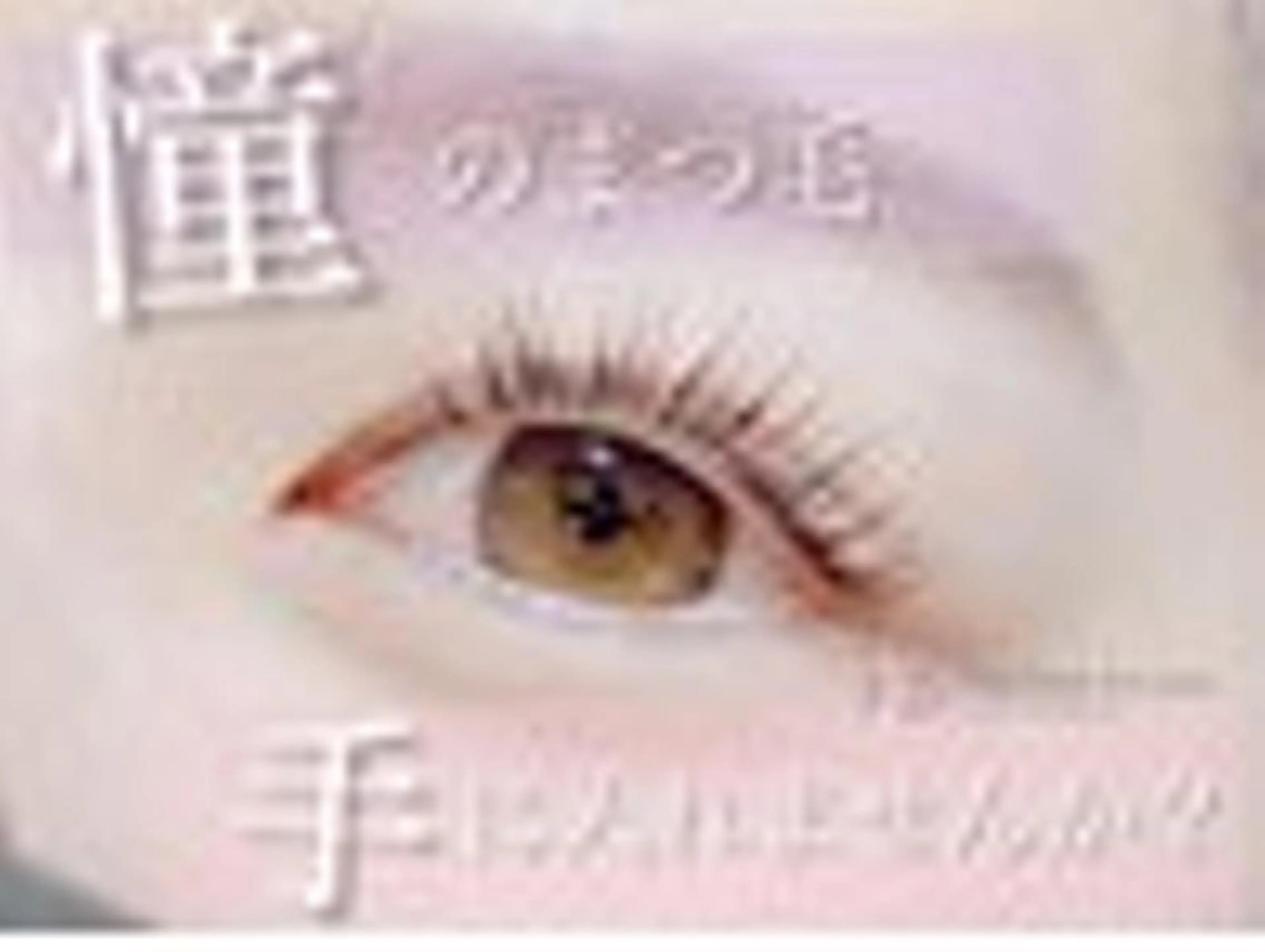 アイブロウ 名駅✨②眉/パーマ 無料研修モデル様🍀のマツエク・マツパデザイン