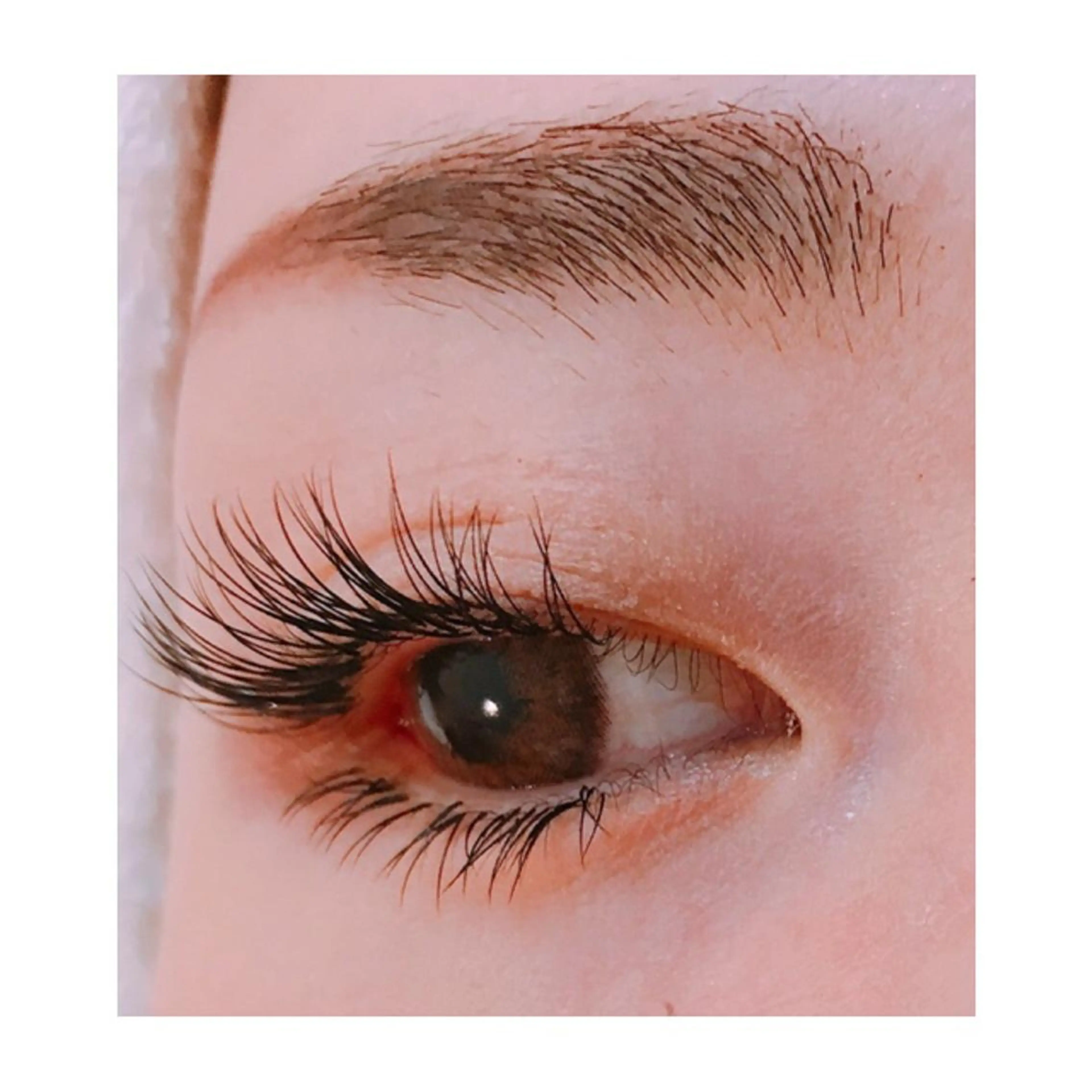 マツエク・マツパ 付け放題 下まつげエクステ Leaf Namiのマツエク・マツパデザイン