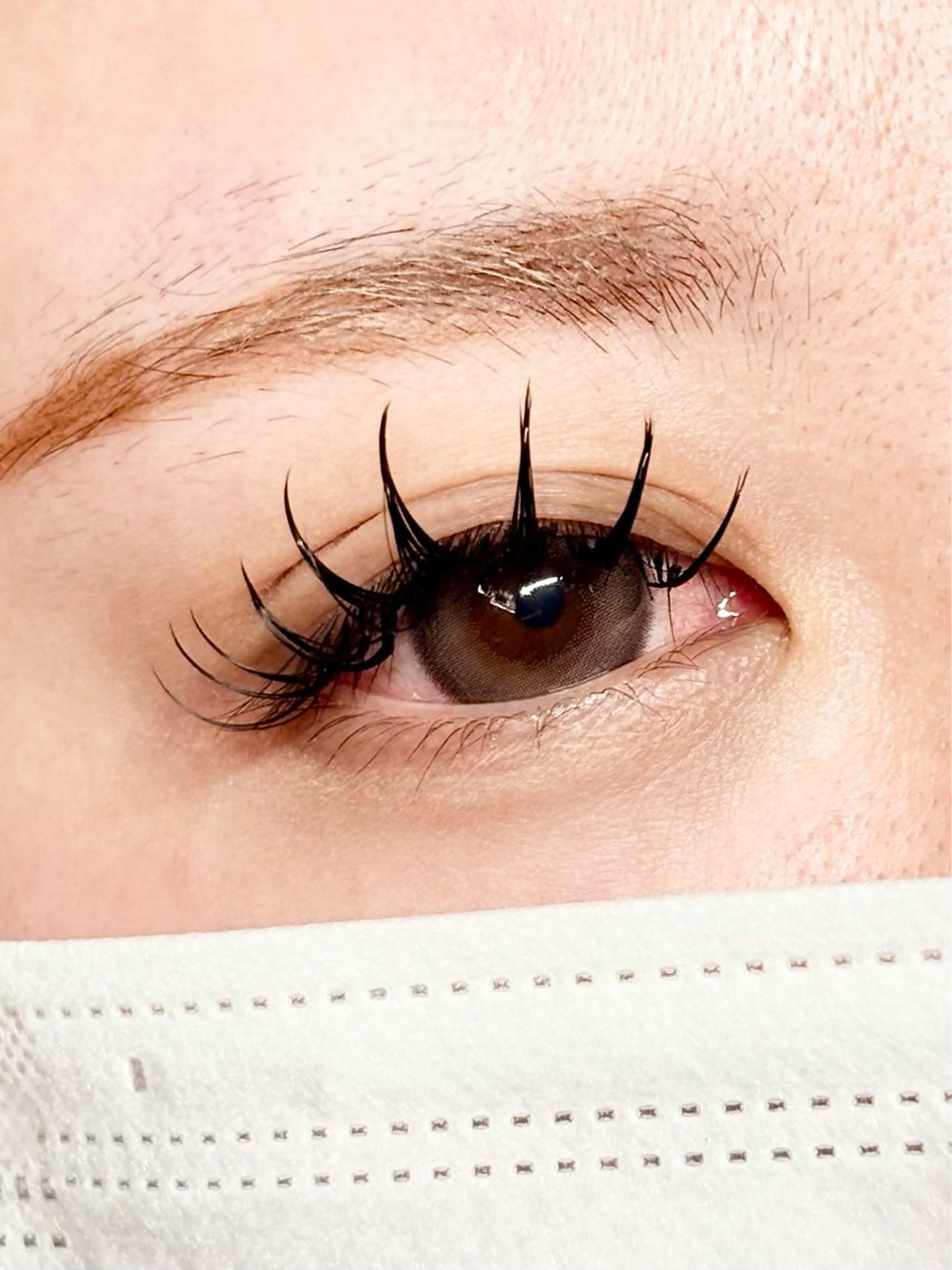 LED Dollyボリュームラッシュ 80束の写真