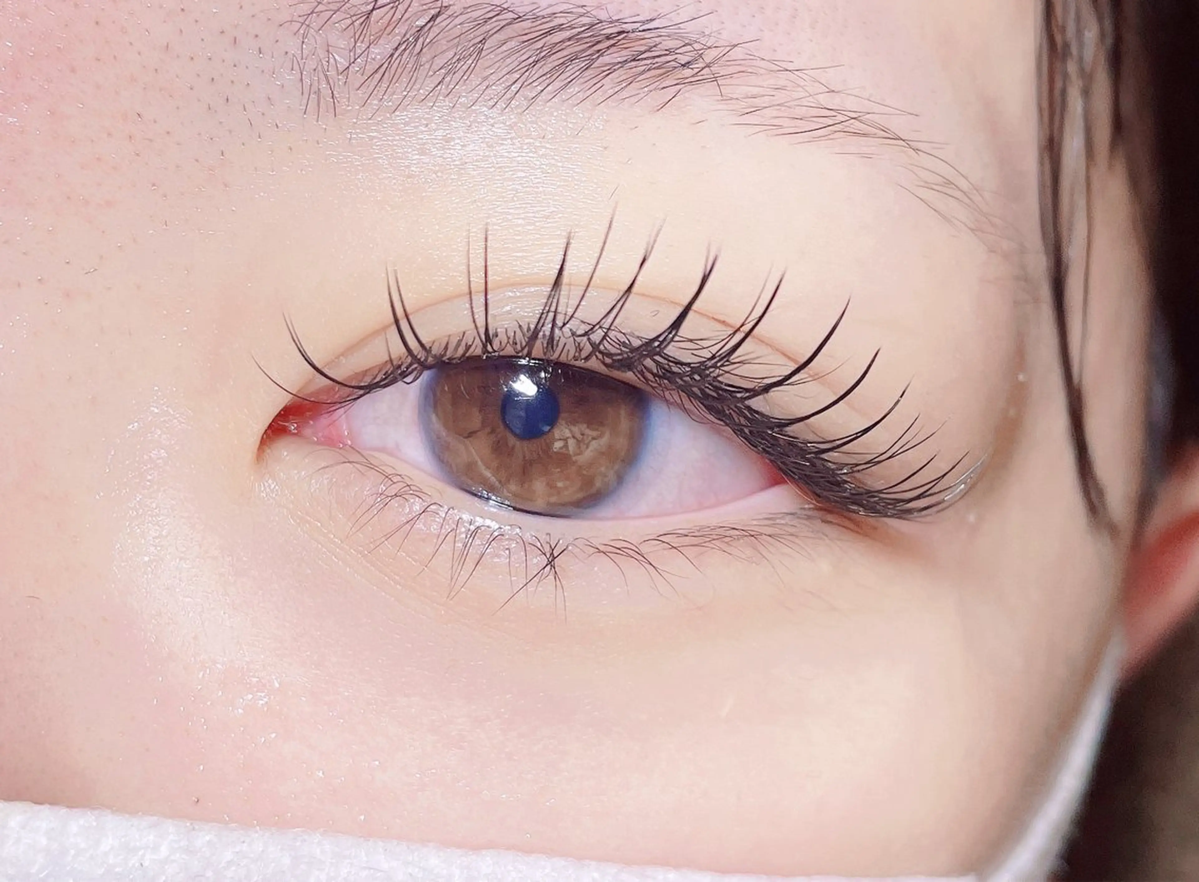 平日限定  フラットラッシュ80本の写真