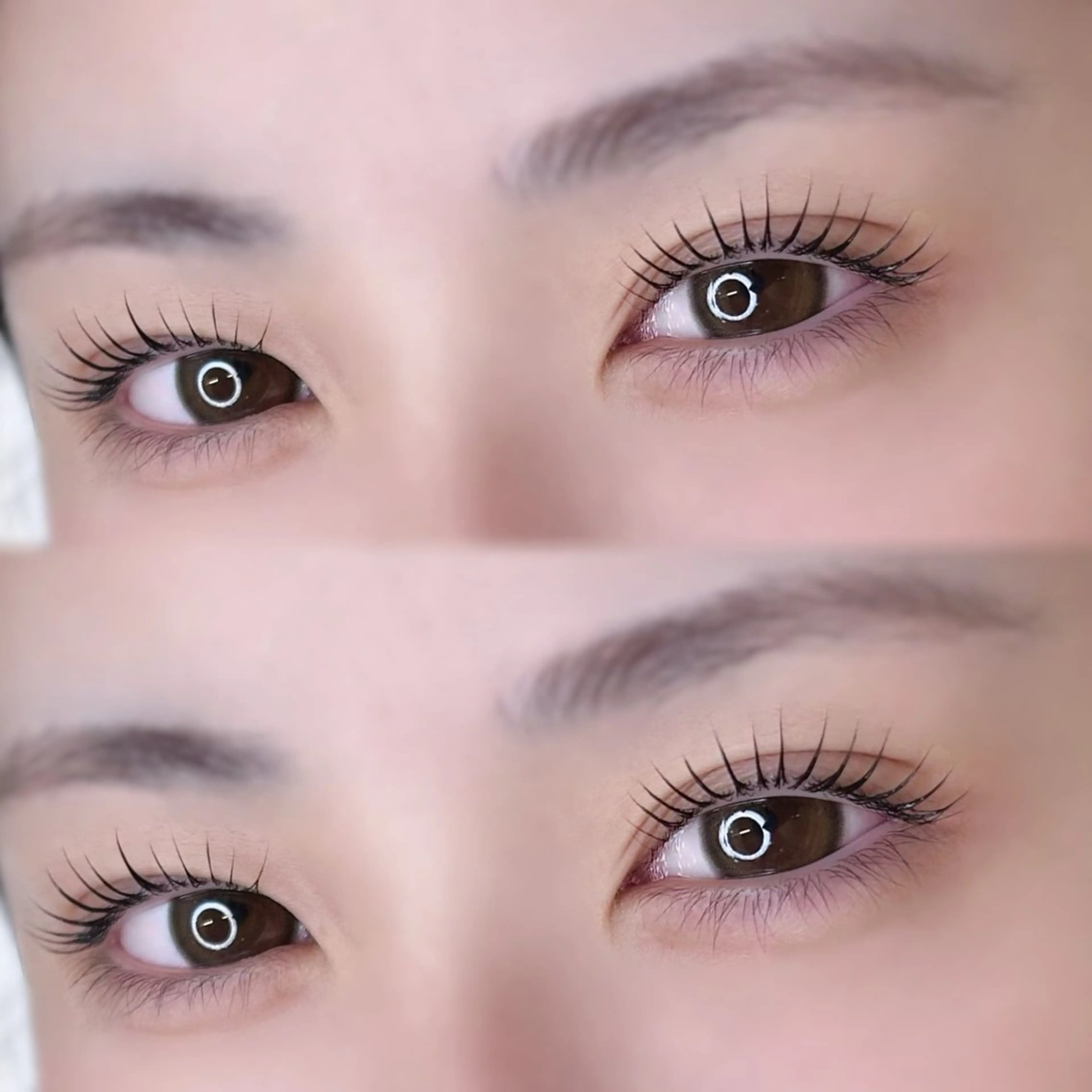 マツエク・マツパ パリジェンヌラッシュリフト kurumi🍒◝✩ /amii新宿のマツエク・マツパデザイン