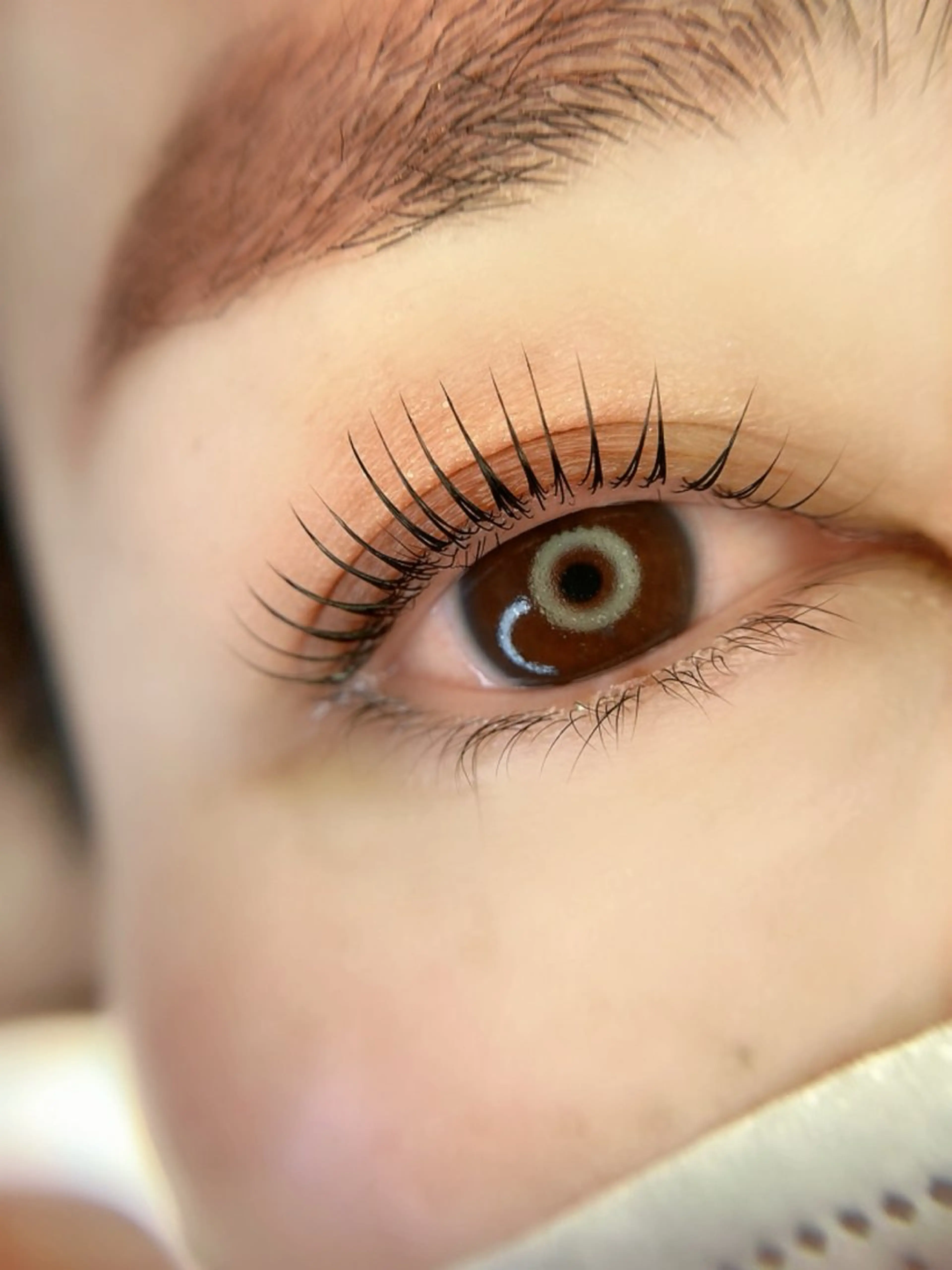 [平日限定]今、韓国で大人気のマスカラパーマの写真