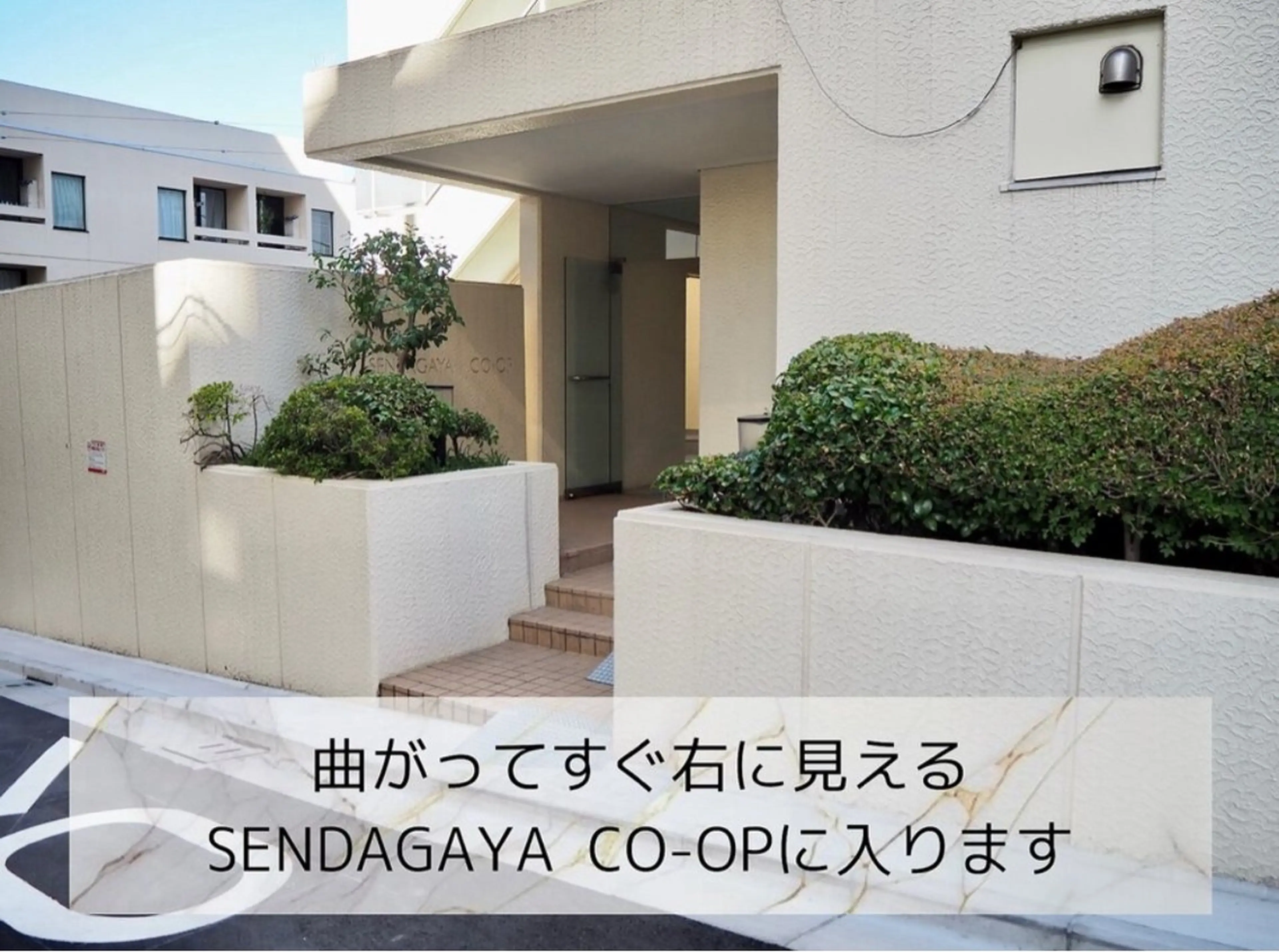 メンズ アイブロウ メンズパーマ ハリウッドブロウリフト メンズアイブロウ 眉毛ワックス脱毛 眉毛×まつ毛パーマ eter,の眉毛・アイブロウイメージ