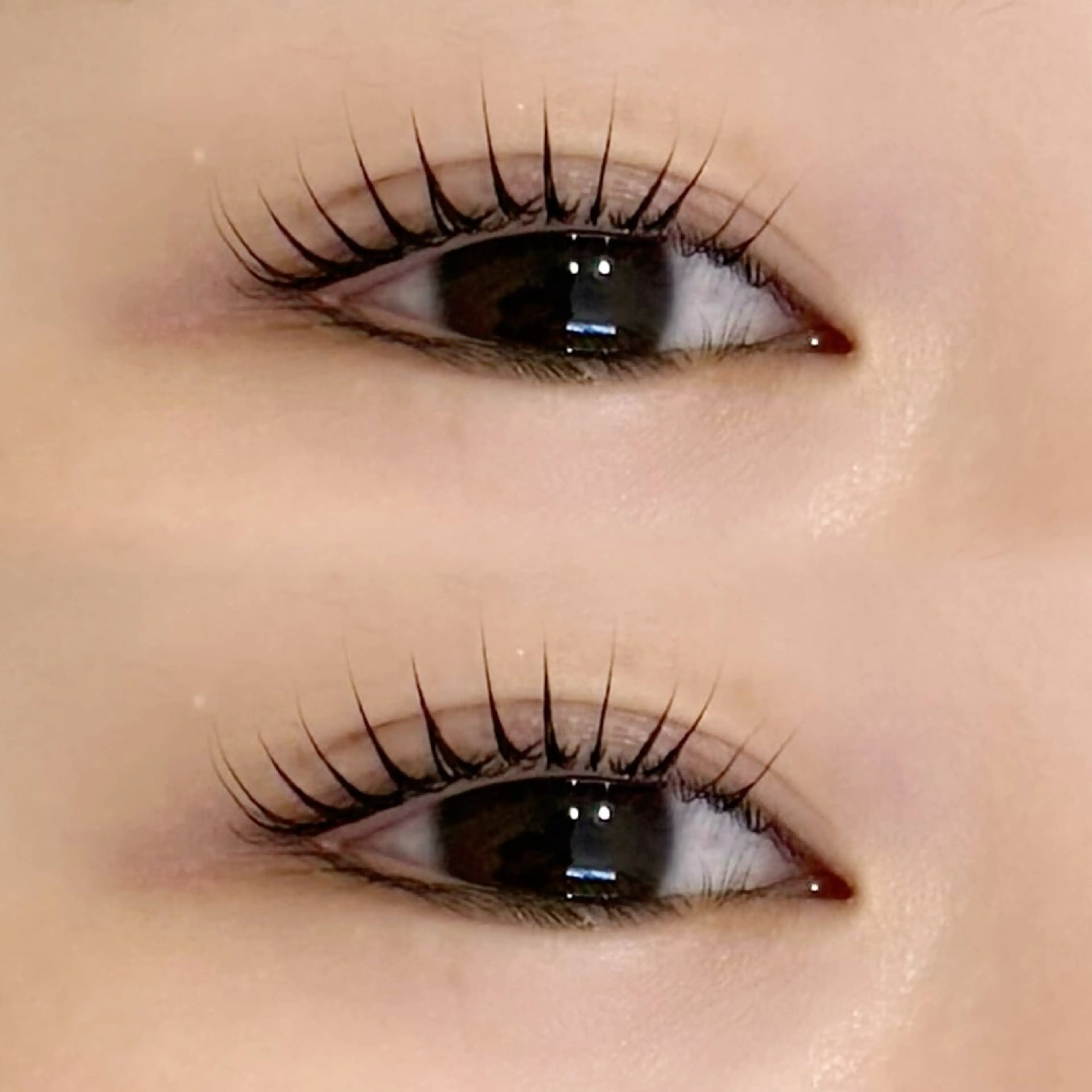 マツエク・マツパ Lowen 野原のマツエク・マツパデザイン