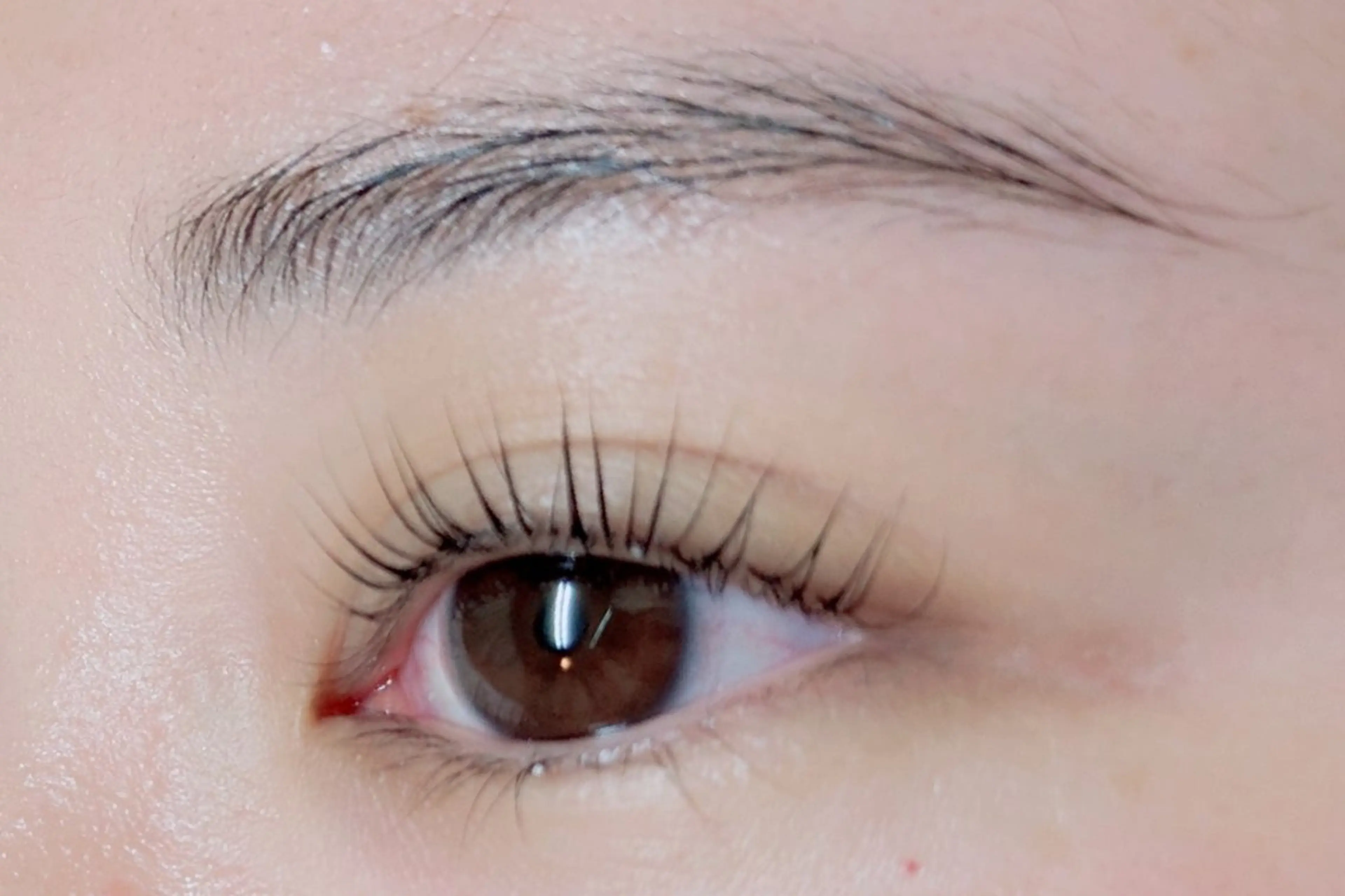 下まつ毛パーマの写真