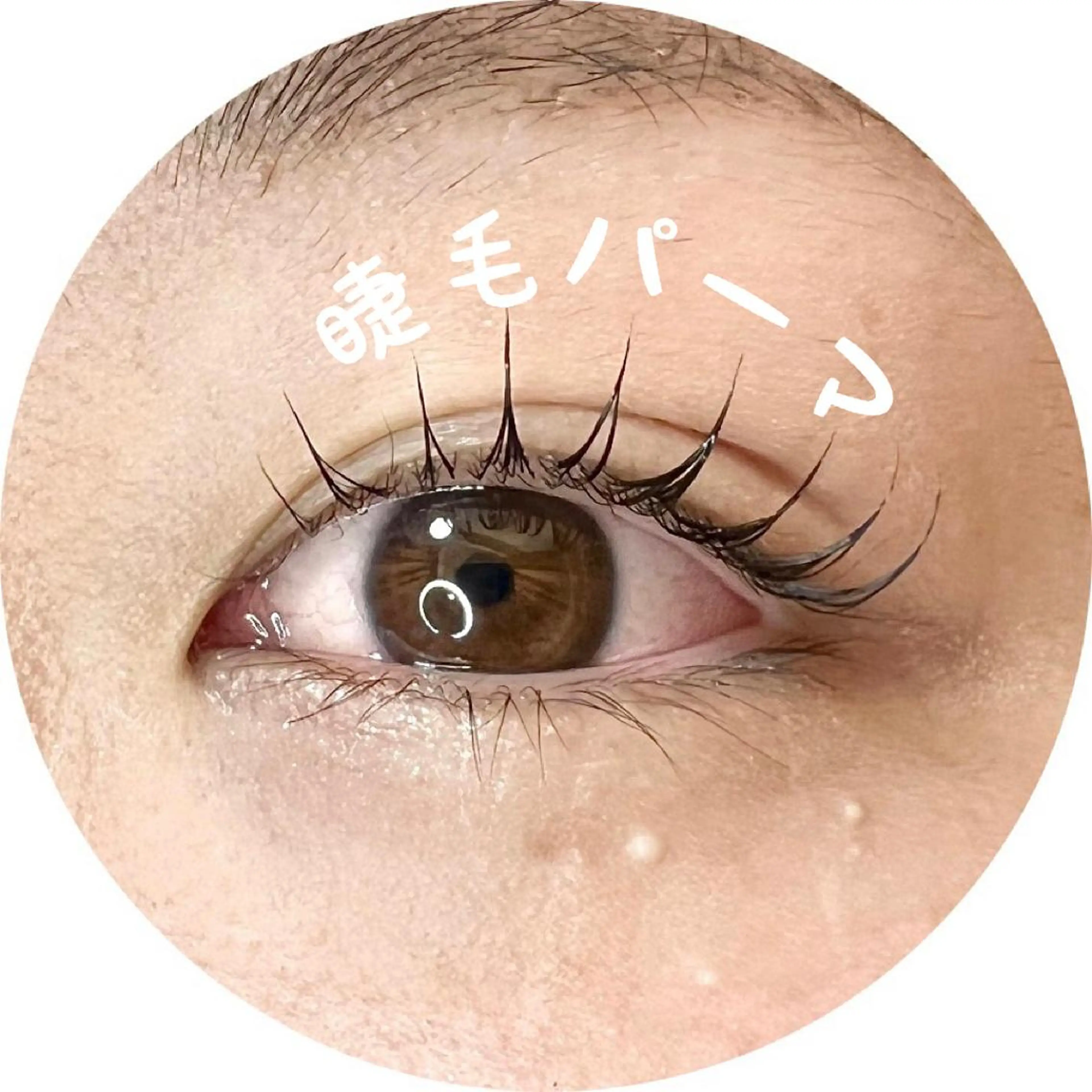 マツエク・マツパ 束感まつ毛 HAYASHI💗 忙しい女性の救世主のマツエク・マツパデザイン