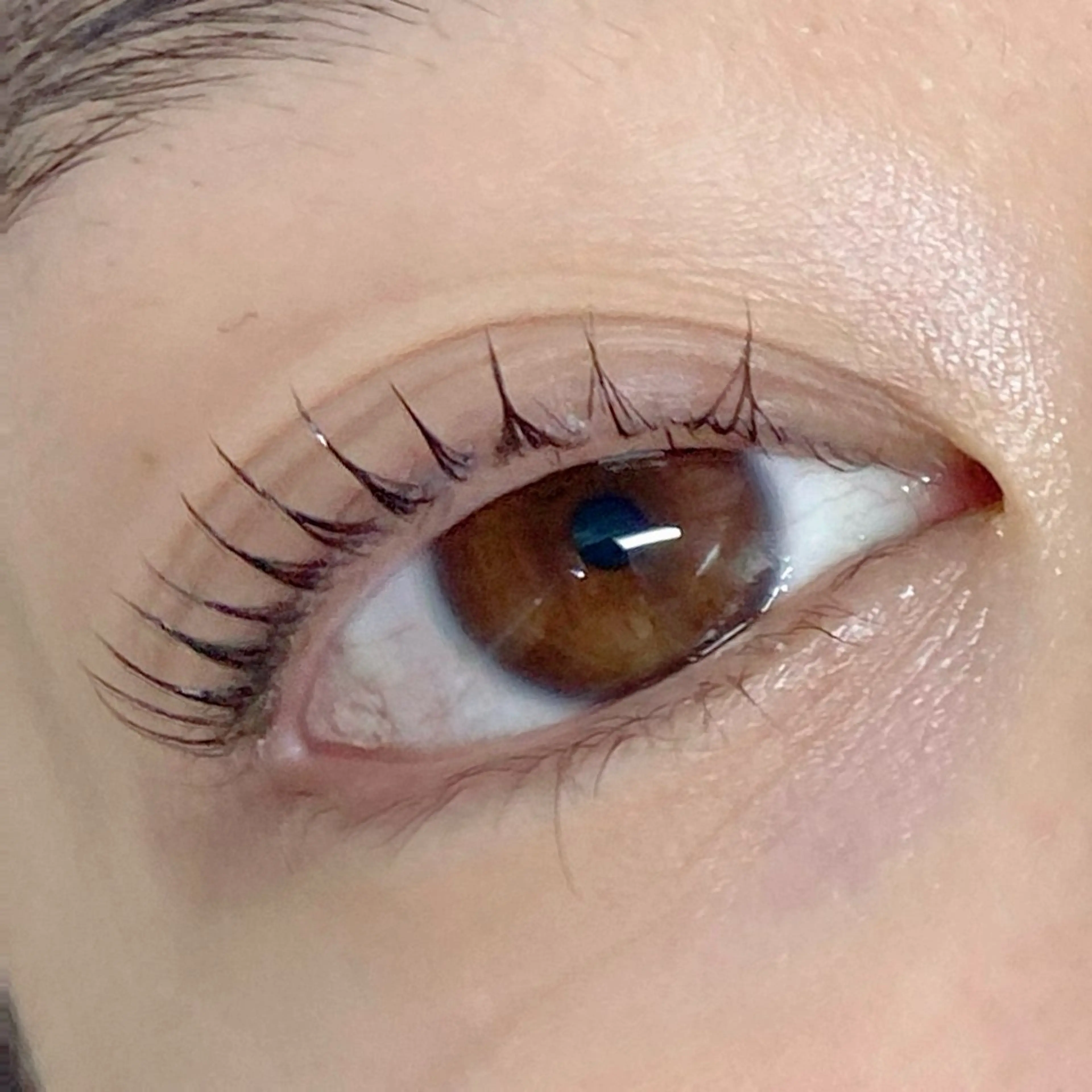 マツエク・マツパ MONDO mayuのマツエク・マツパデザイン