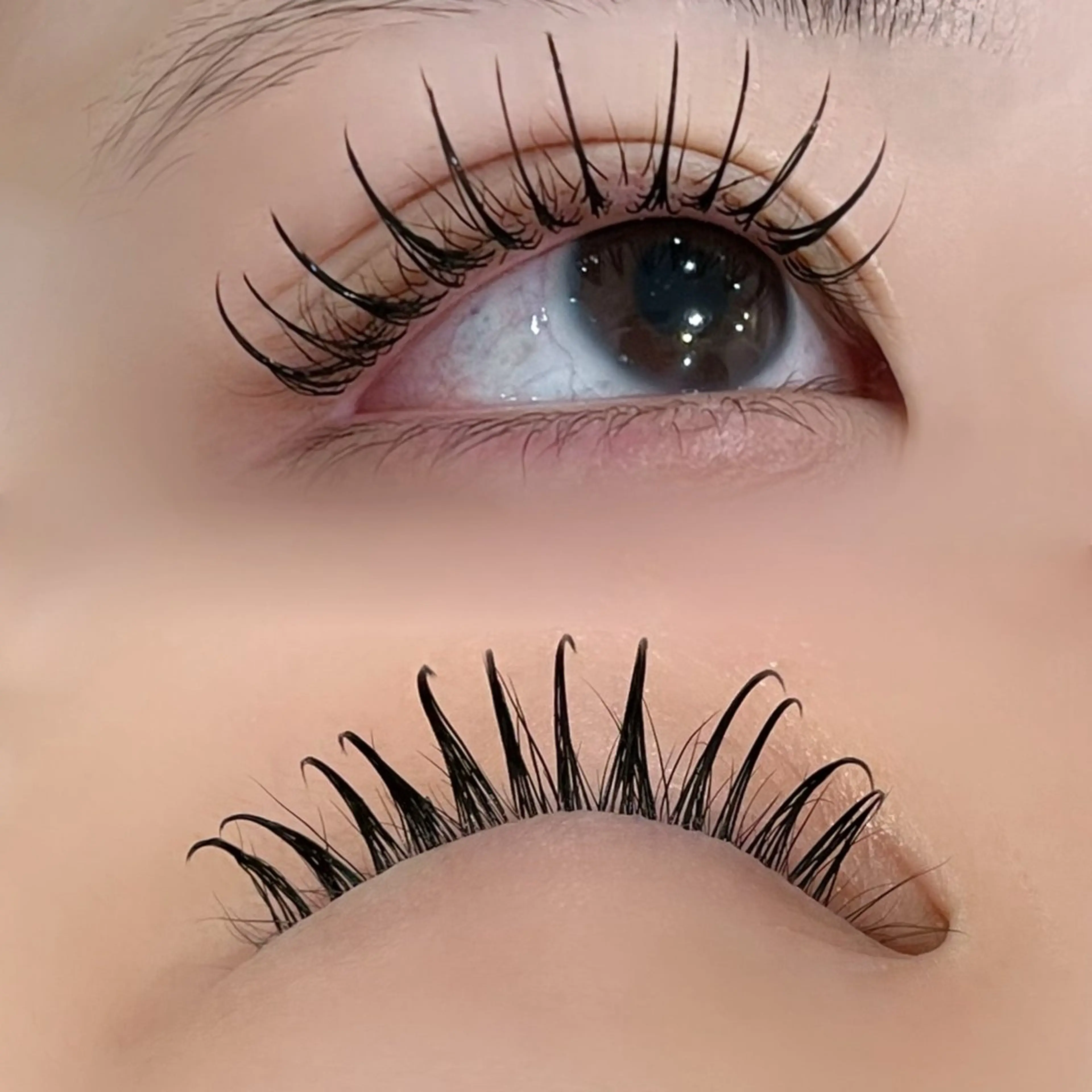 マツエク・マツパ 束感まつ毛 フラットラッシュ Garlandeye KOTOHIのマツエク・マツパデザイン