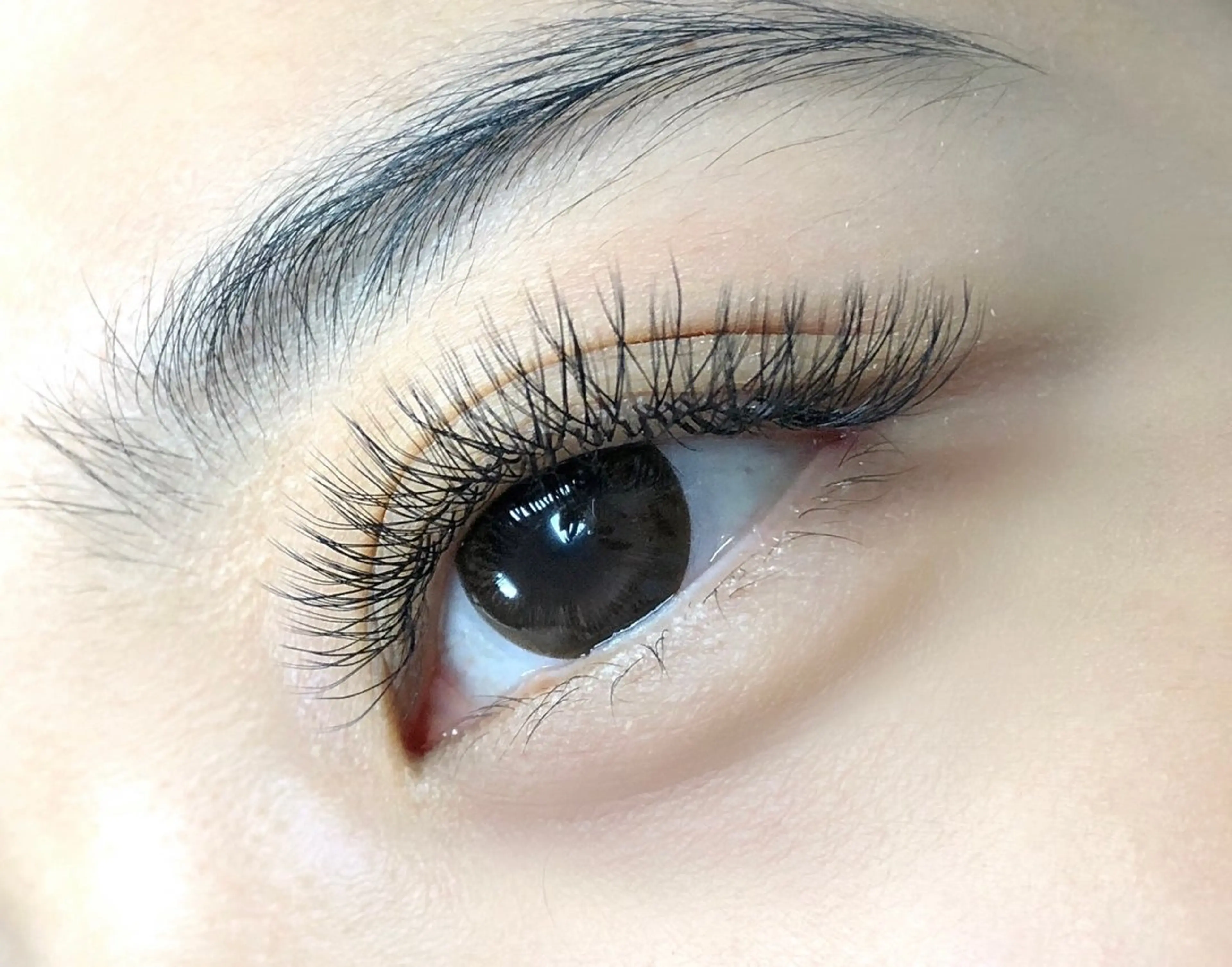 高持続YYボリュームラッシュ隙 間悩み解决/つけ放題100-140束 (200本-280本) 【オフあり➕20分钟】の写真