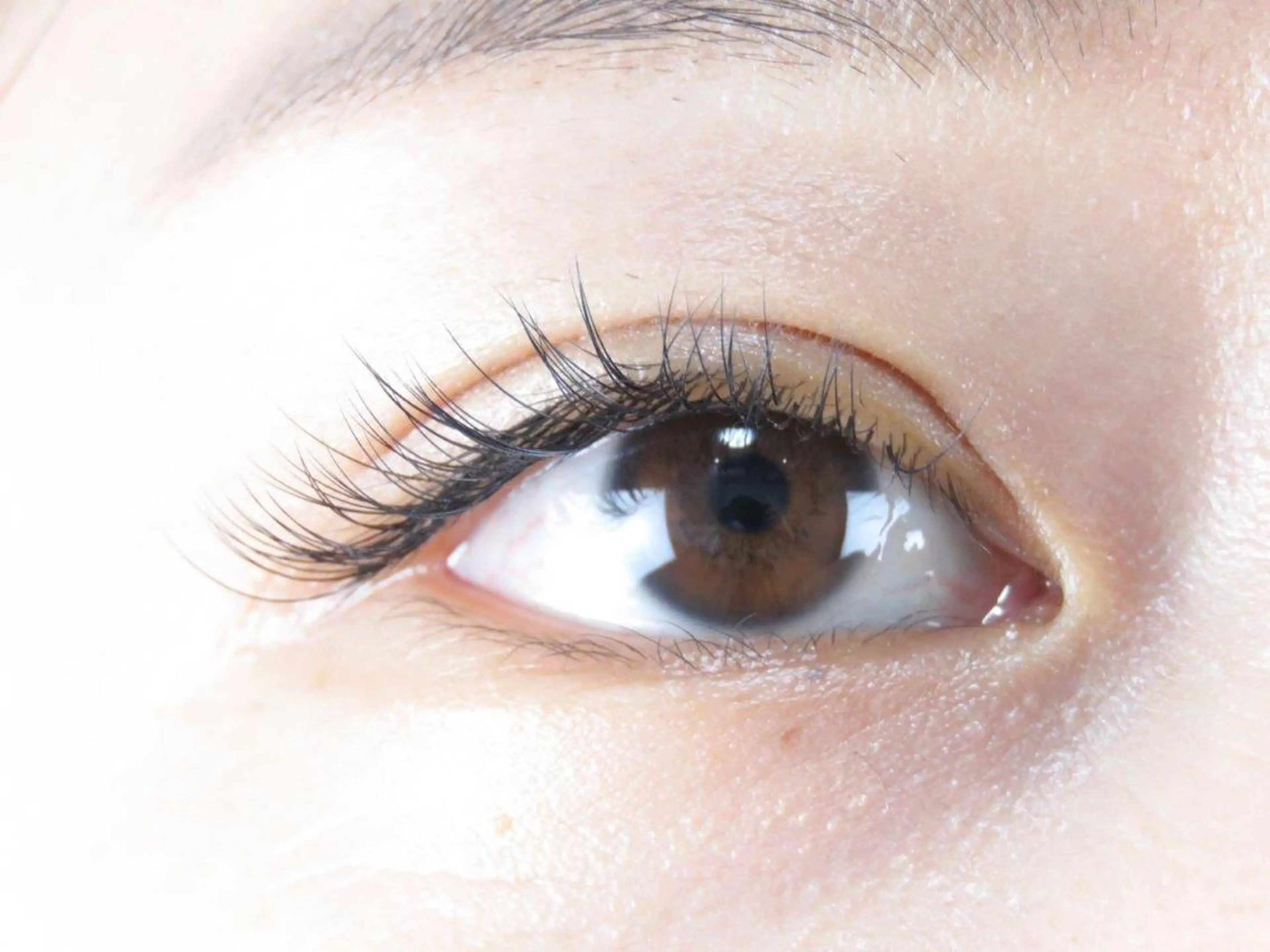 マツエク・マツパ トヨダ 池袋のマツエク・マツパデザイン