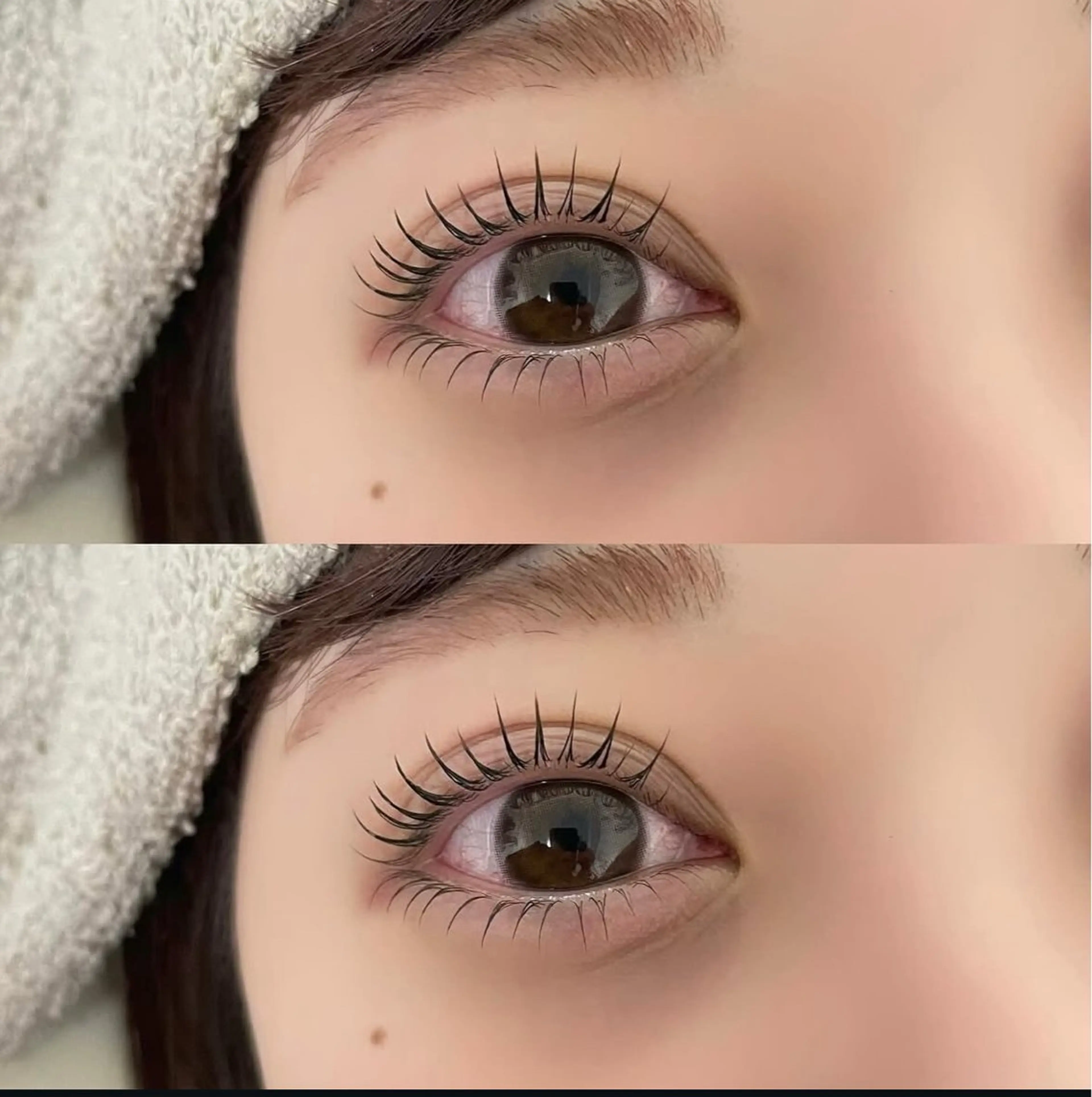 上下パリジェンヌラッシュリフト🫶✨✨の写真