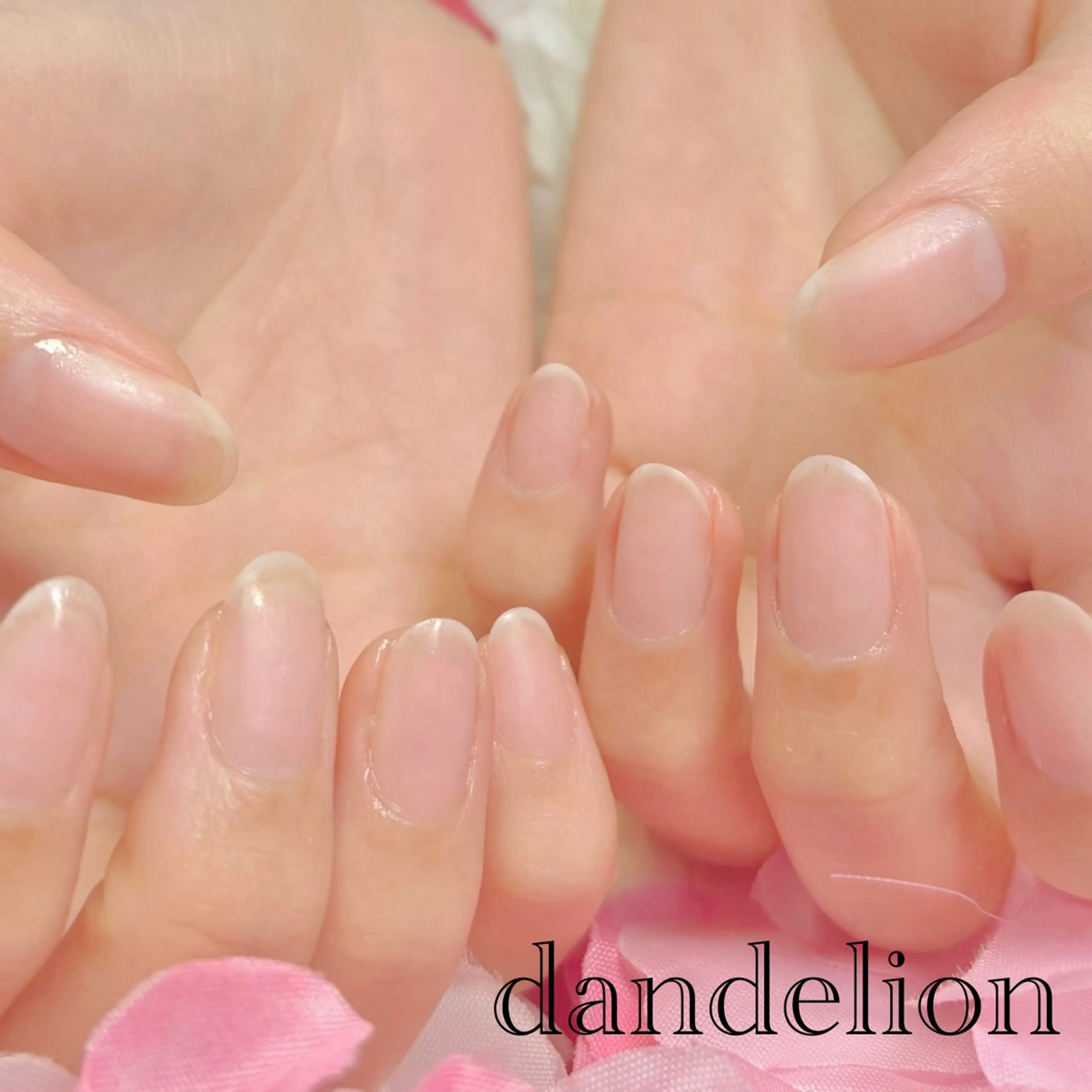 ネイル ハンドケア dandelion ダンデライオンのネイルデザイン