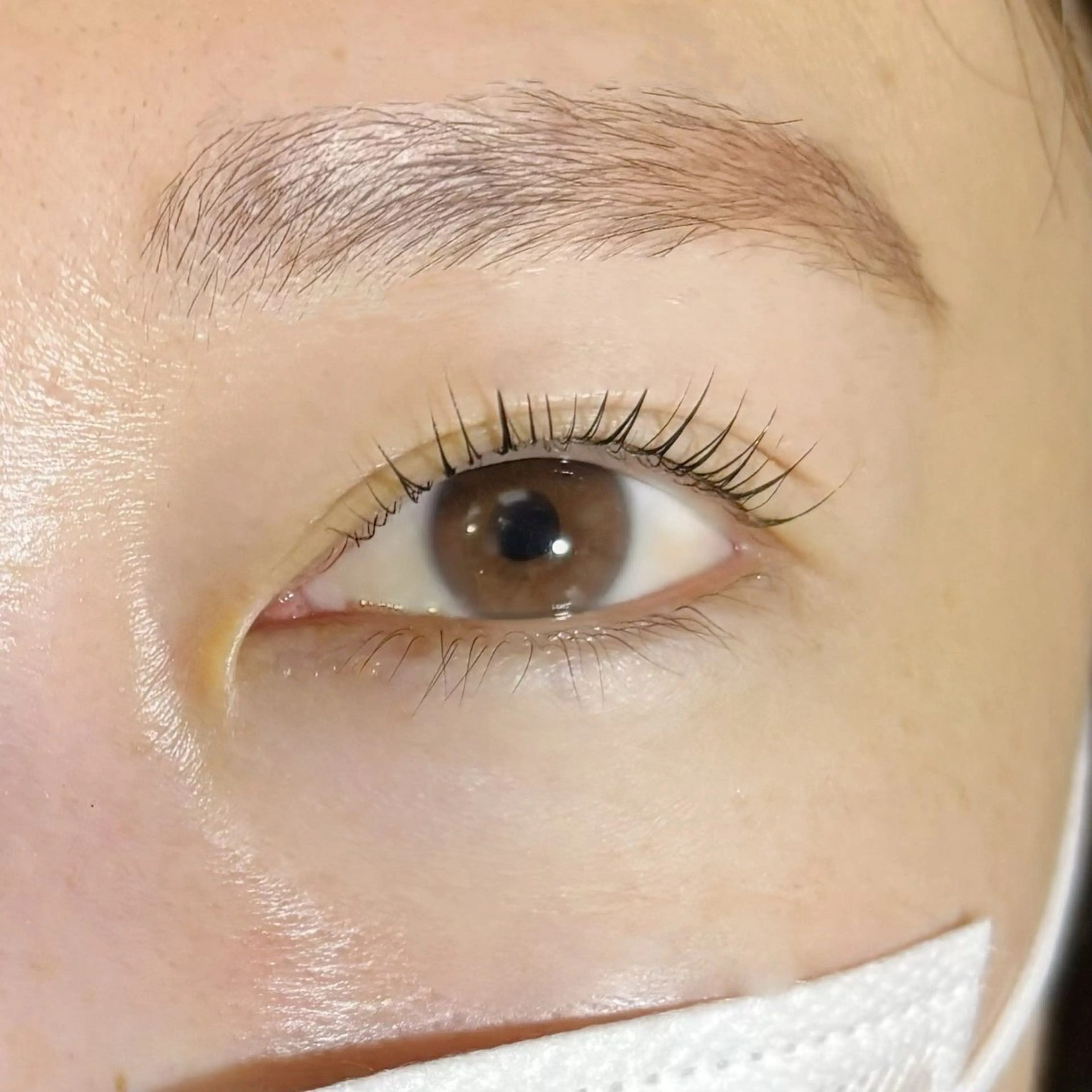 マツエク・マツパ マツパ Yoshida neiroのヘアスタイル