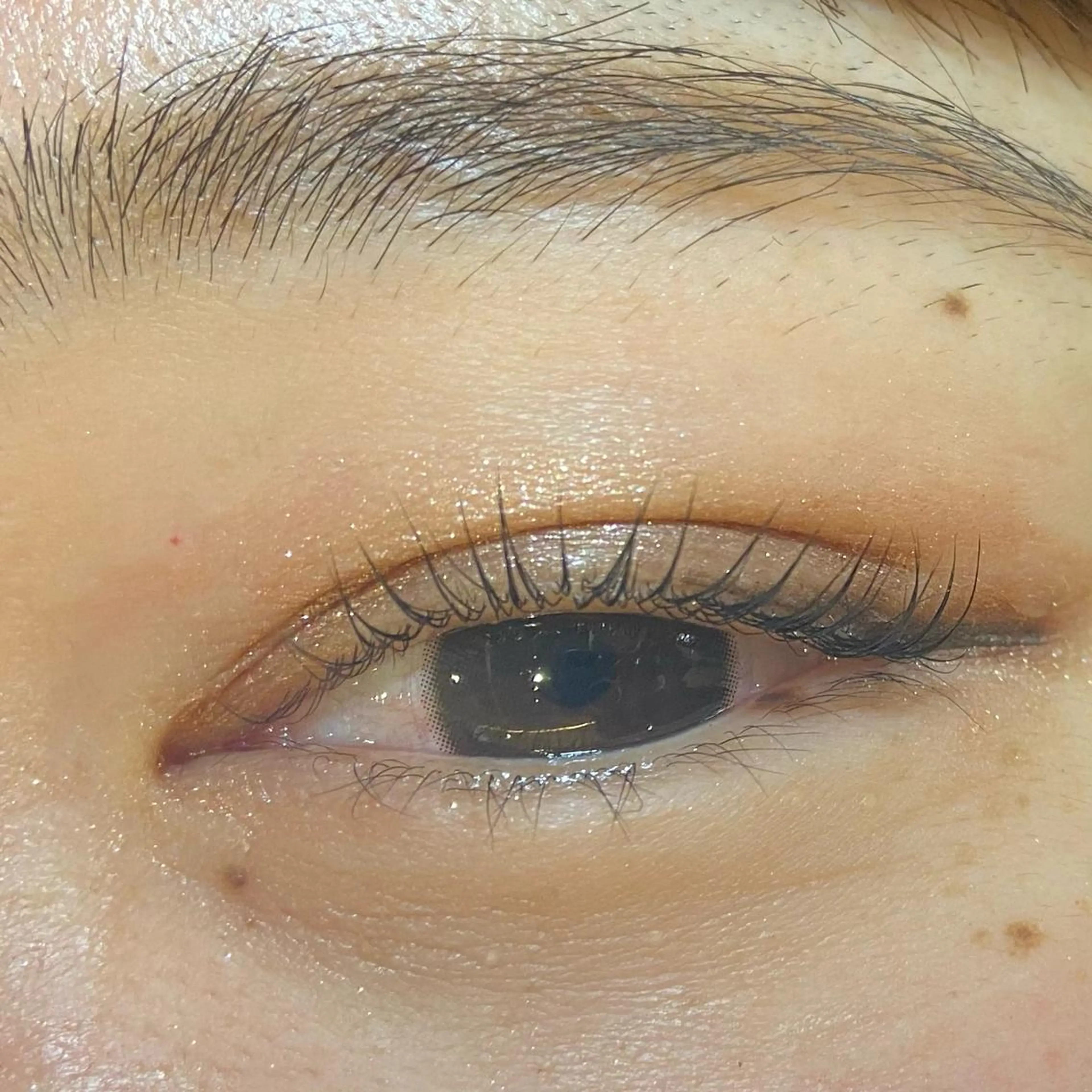 マツエク・マツパ ナチュラル マツパ sato misakiのマツエク・マツパデザイン