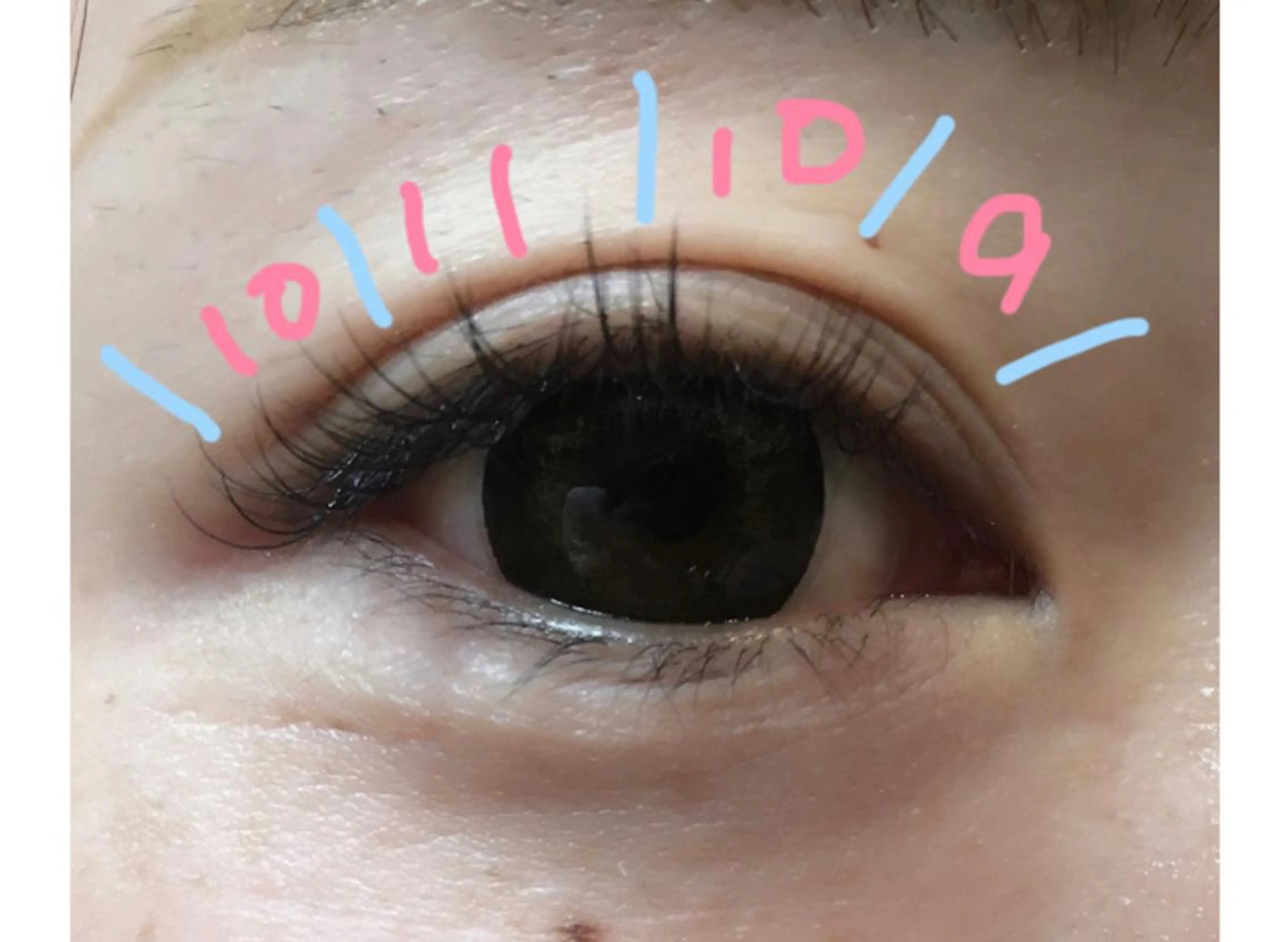 マツエク・マツパ CILGRACE 天野のマツエク・マツパデザイン