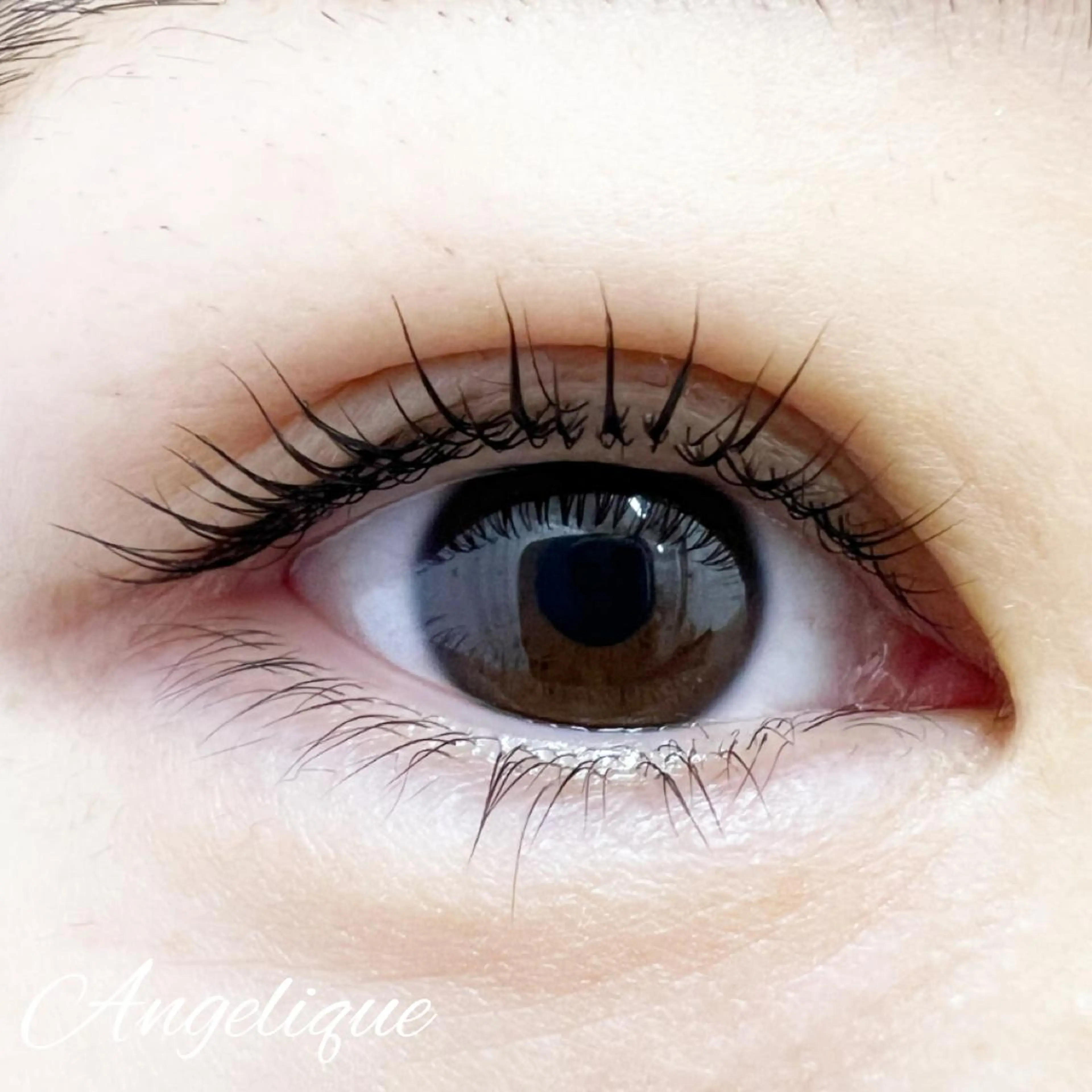 マツエク・マツパ 一重×まつ毛パーマ 田村 莉子のマツエク・マツパデザイン