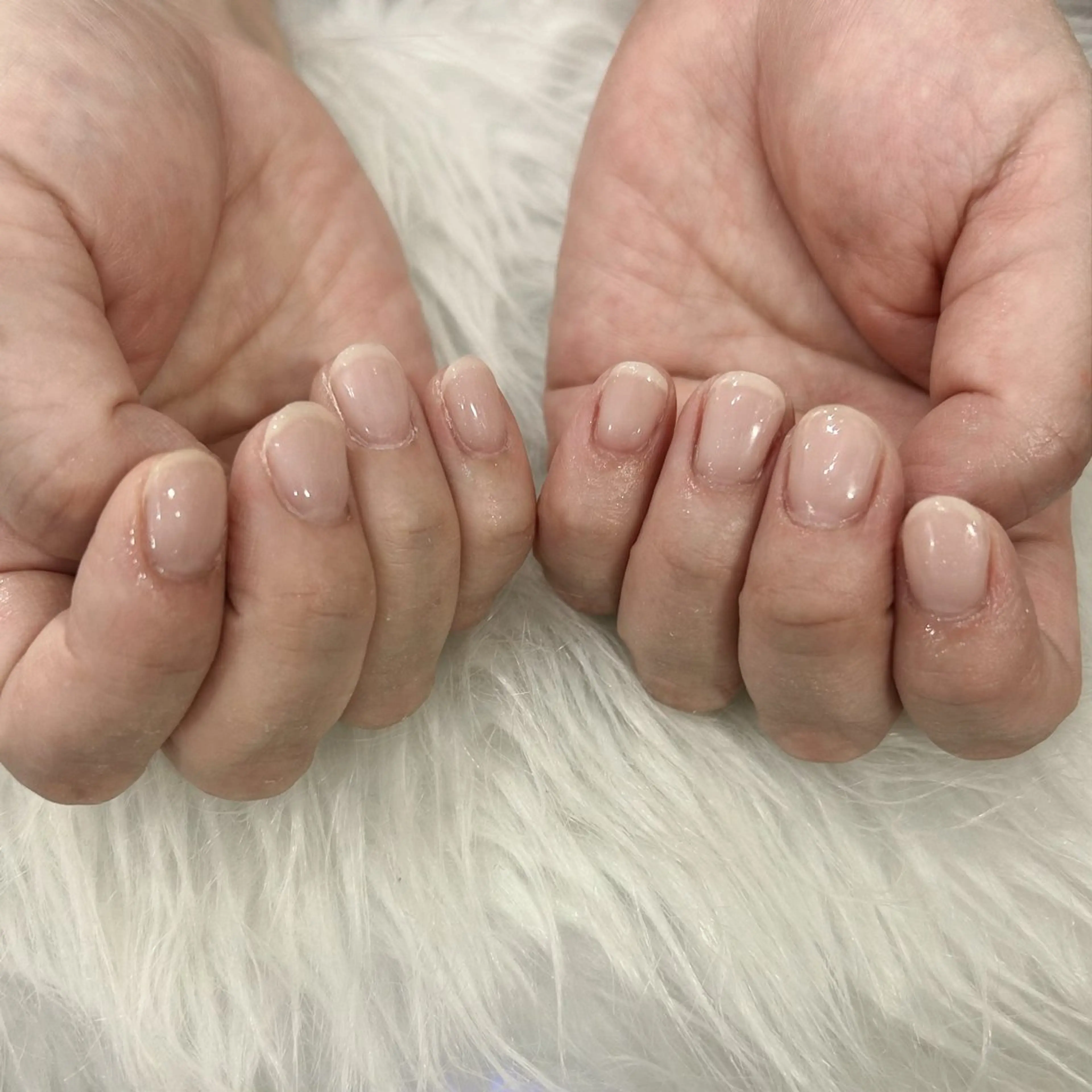 【オフなし】ワンカラーの写真