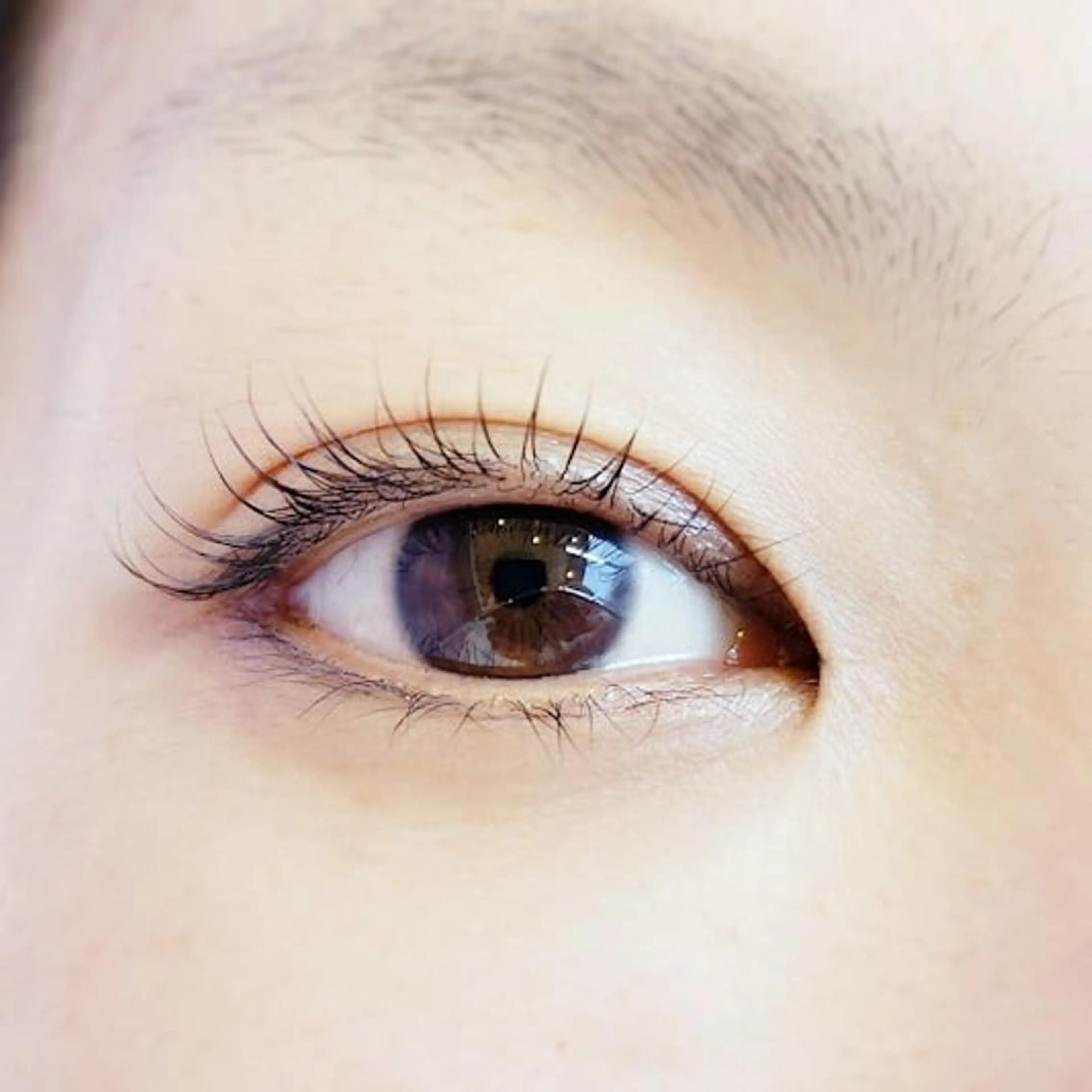 マツエク・マツパ ナチュラル 一重×まつ毛パーマ マツパ ｉ-ｌａｓｈ ～アイラッシュ～のマツエク・マツパデザイン