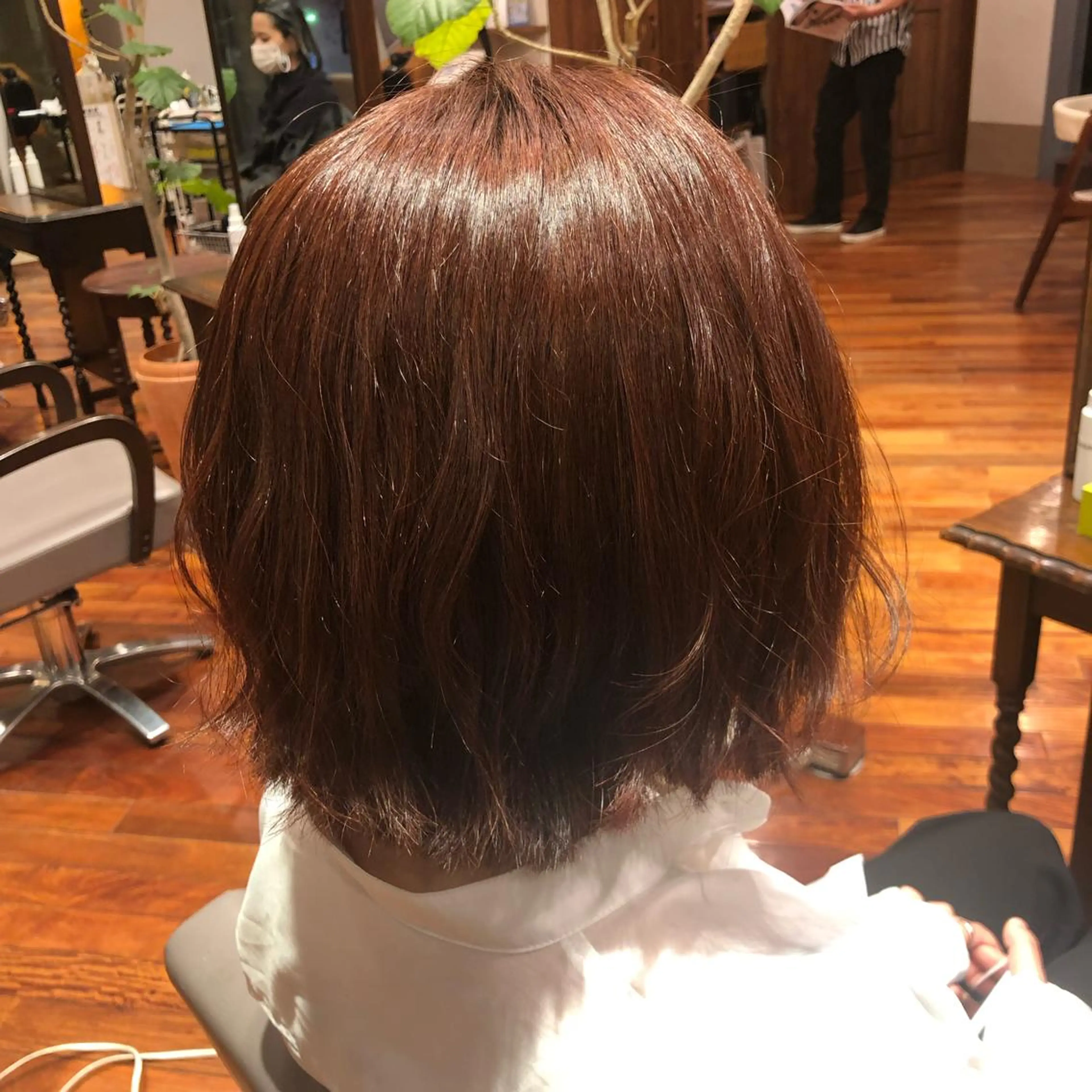 ショート カラー 梅本 佳容子のヘアスタイル