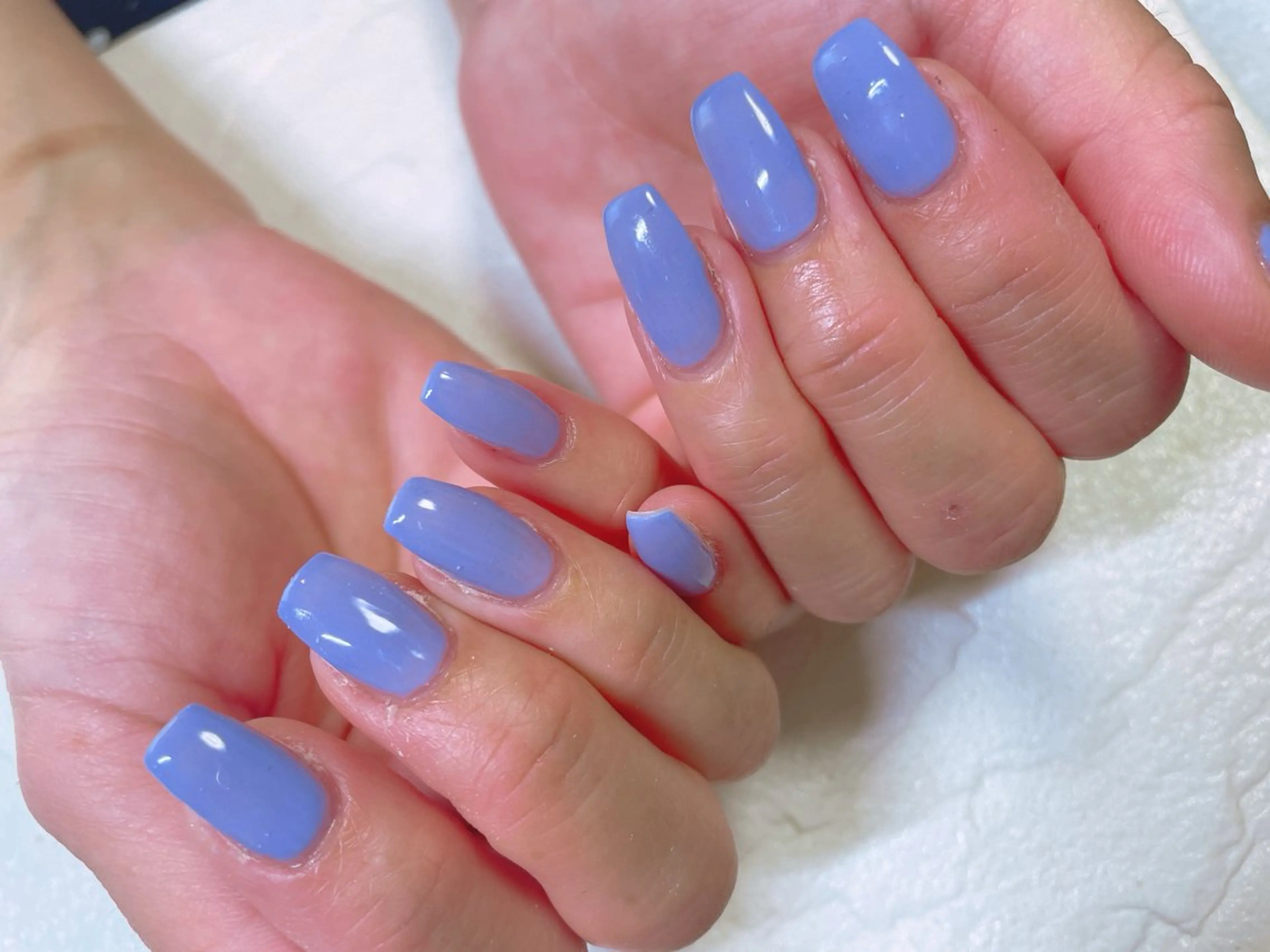 シンプルコース　オフありの写真