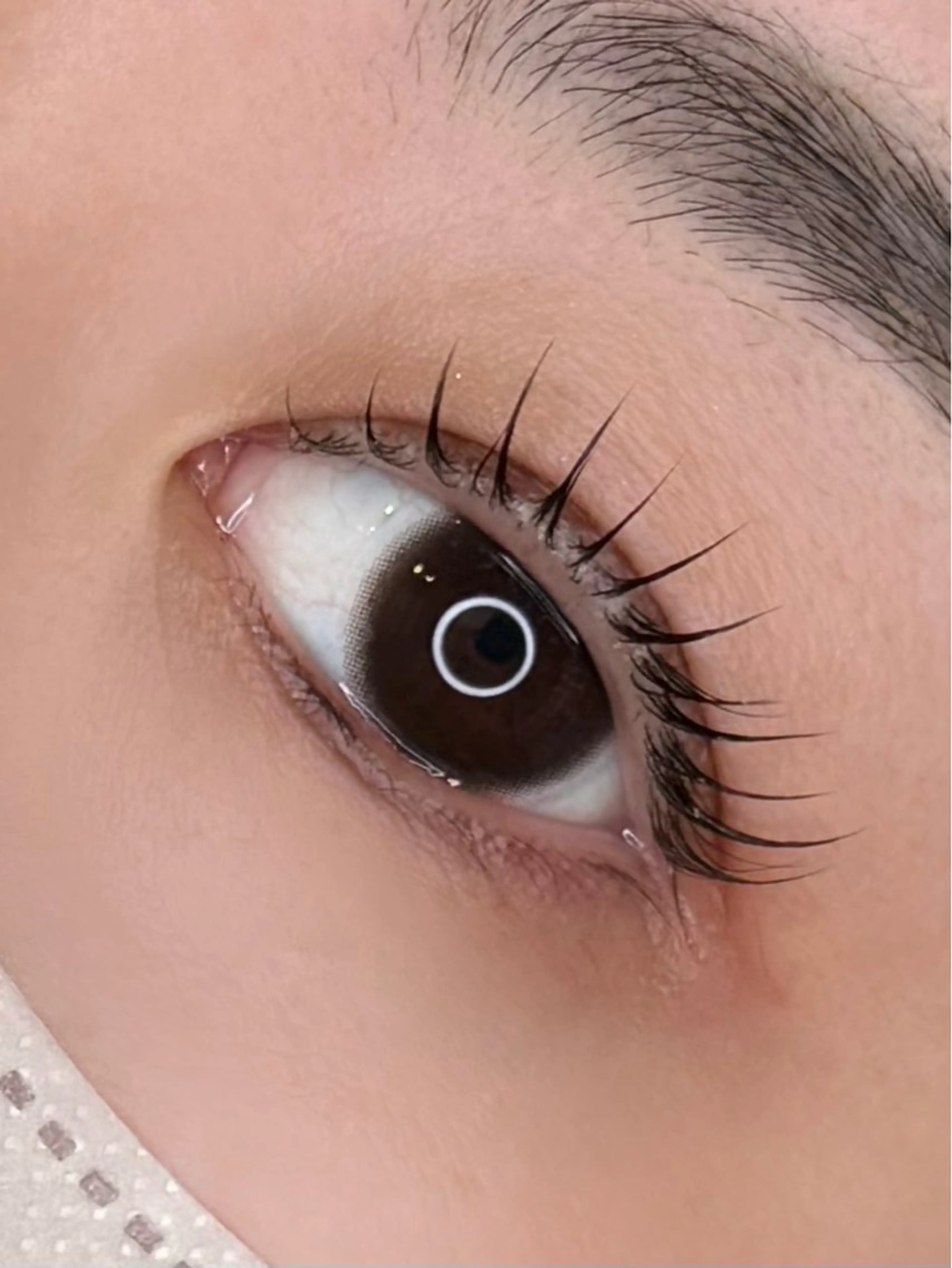 トリートメントまつ毛パーマ｜韓国NUNUヌヌ｜ベーシックメニュー｜コーティング付きの写真