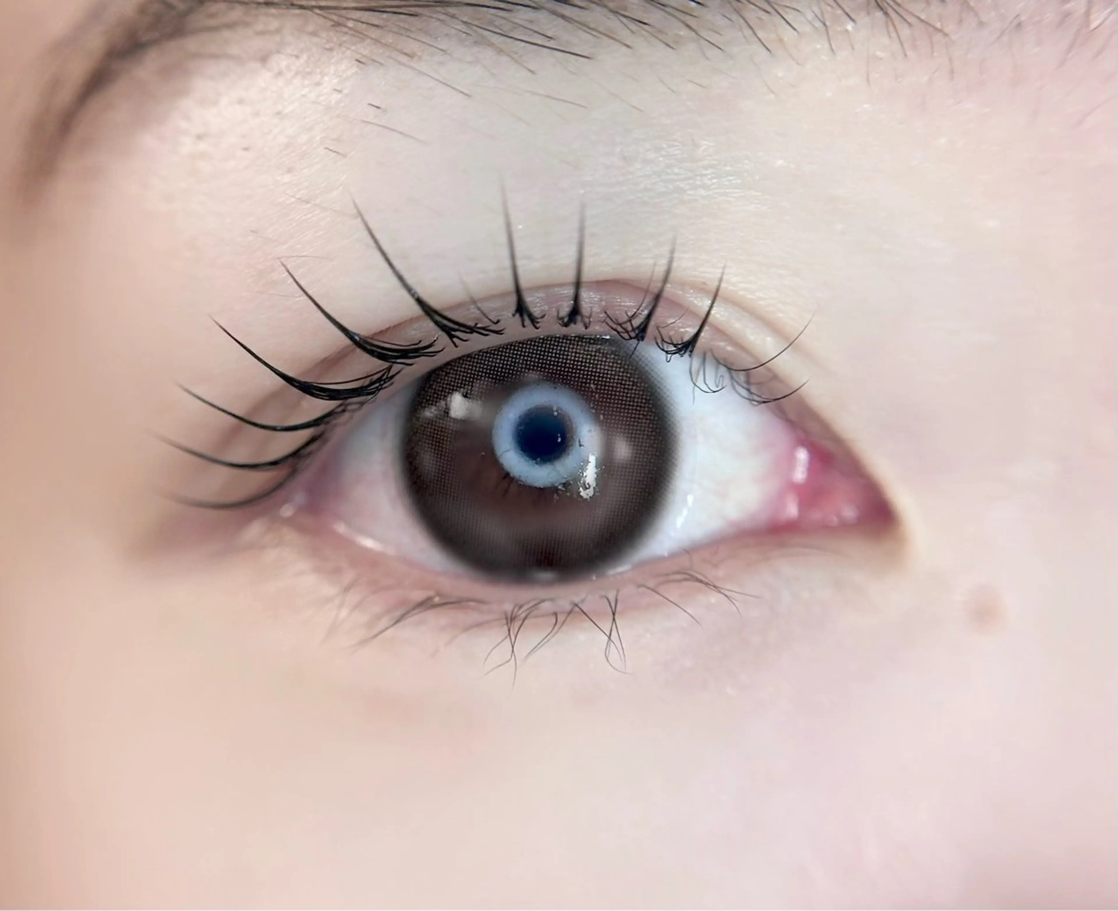 マツエク・マツパ マツパ 🎀eyelist. mizuki🐈‍⬛の眉毛・アイブロウイメージ