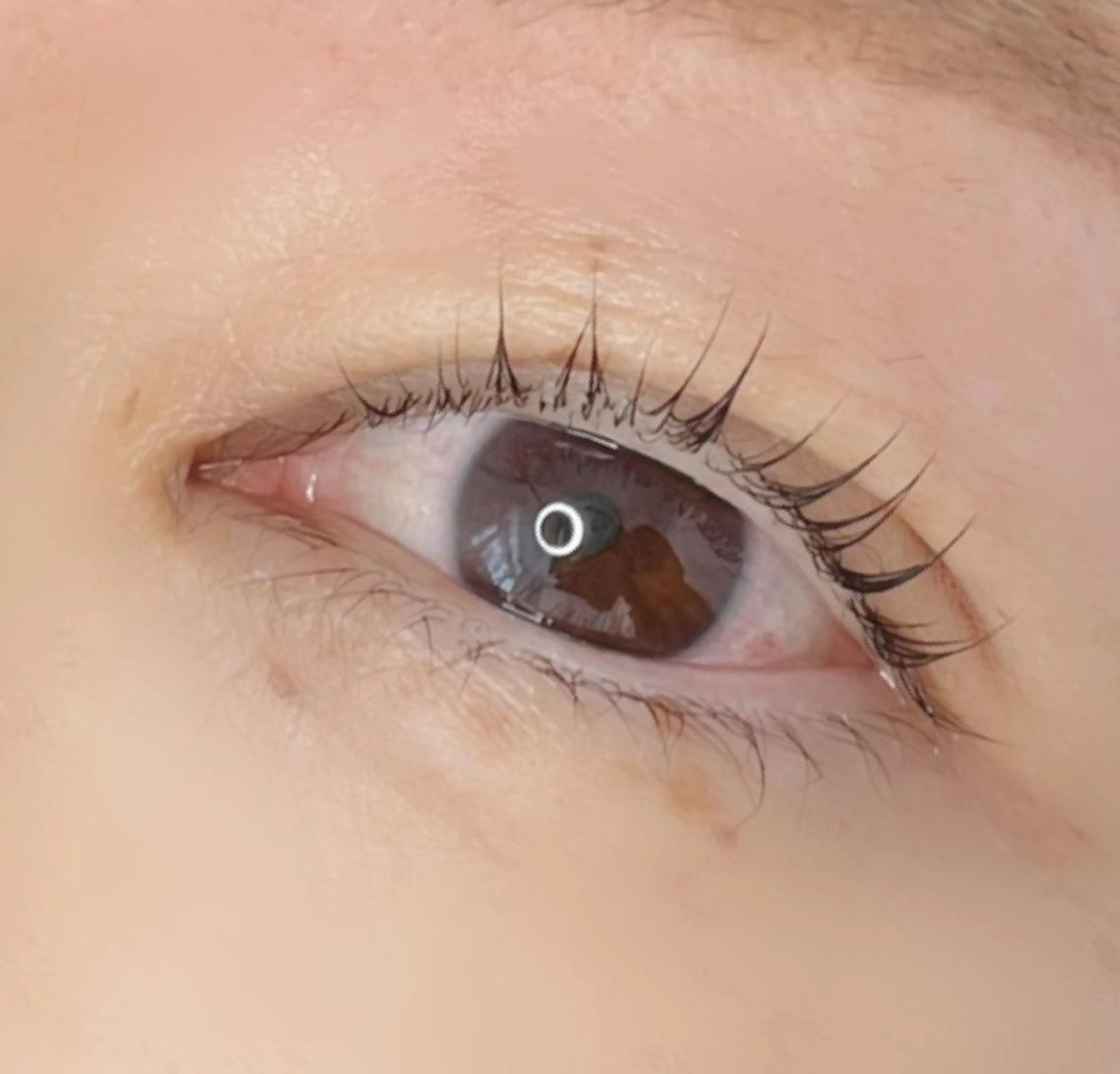 マツエク・マツパ 《eyelash ｉｉｔｅ》森のマツエク・マツパデザイン