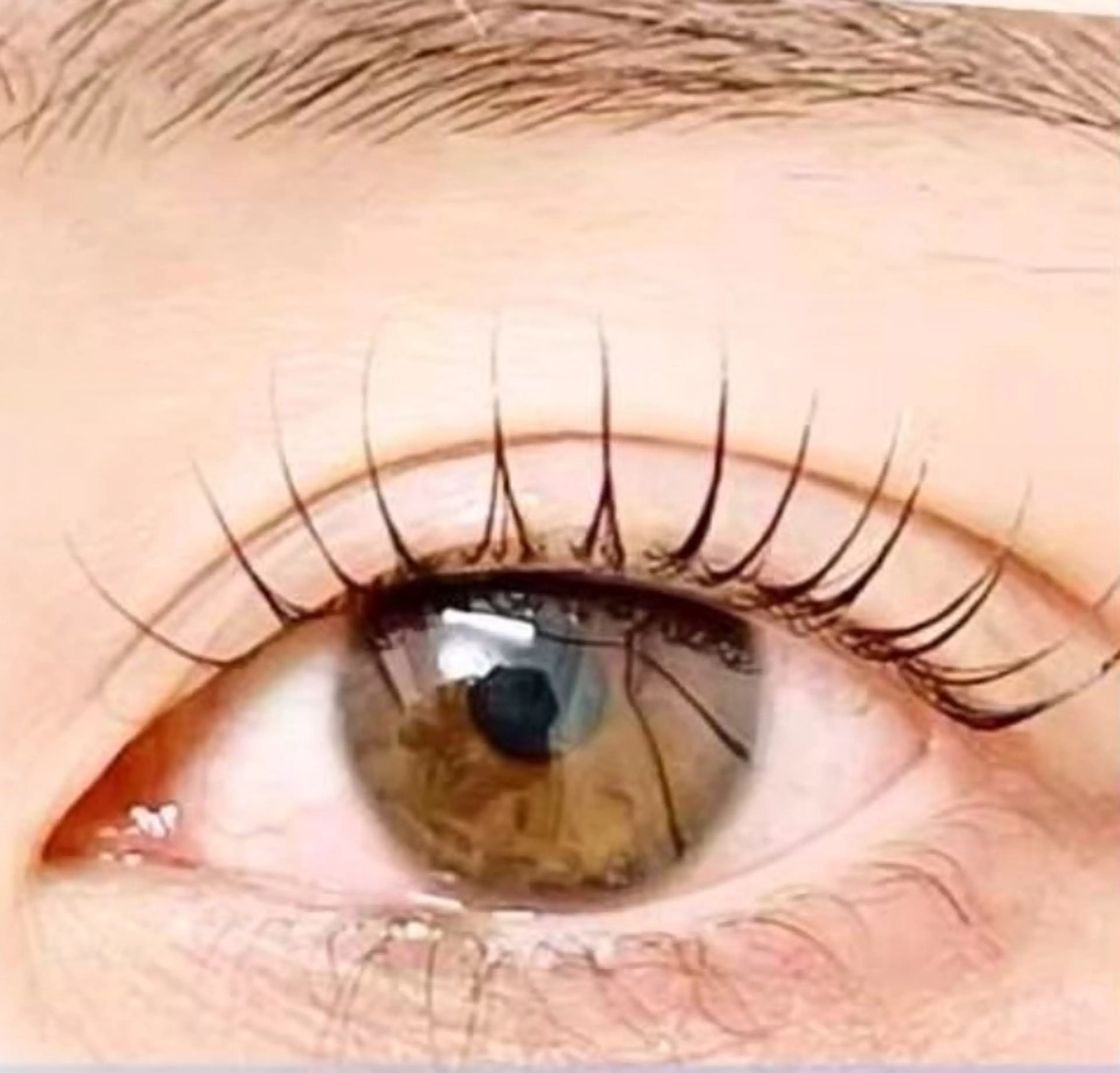 マツエク・マツパ ꪆৎRiconaꪆৎ eyelashのマツエク・マツパデザイン