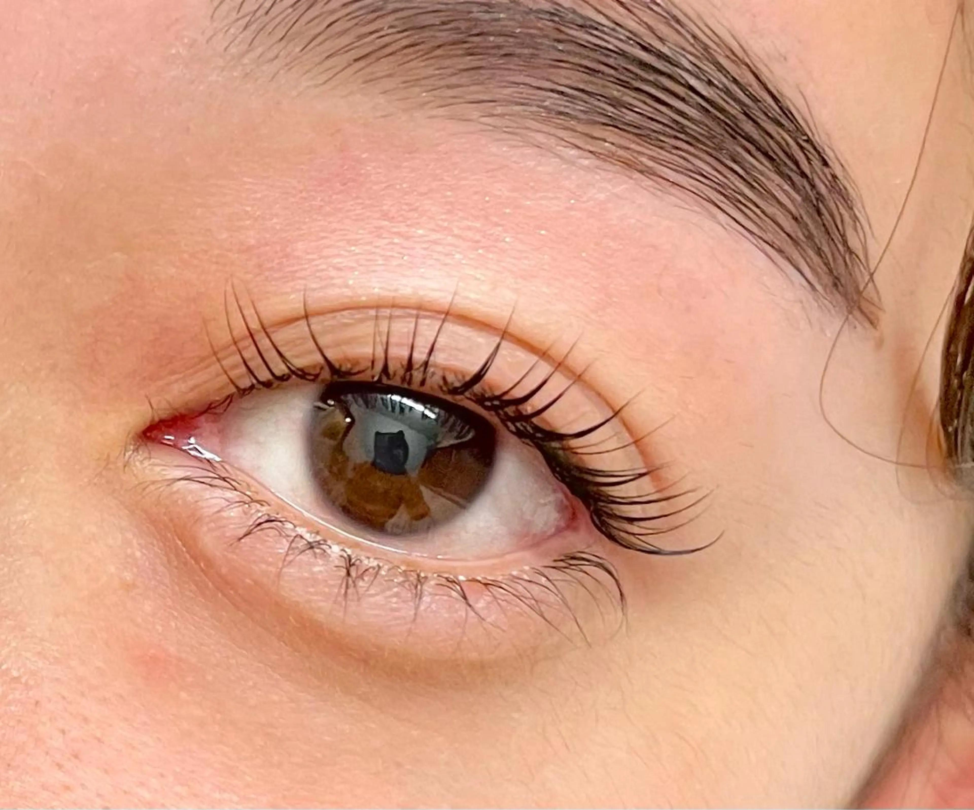 マツエク・マツパ マツパ Camarón まつ毛&眉毛サロンのマツエク・マツパデザイン