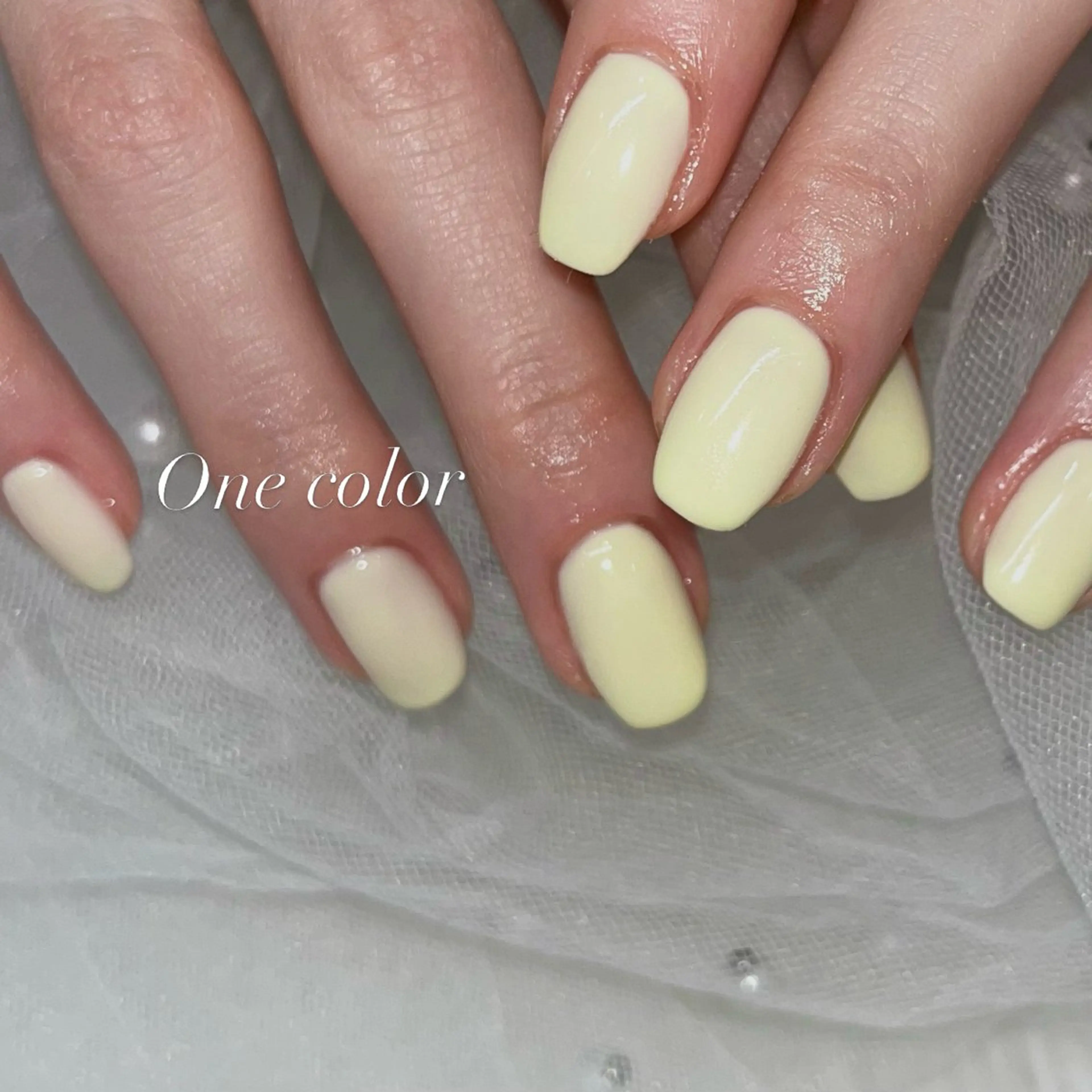 ワンカラーorグラデーション𖤐オフ込　¥4800の写真