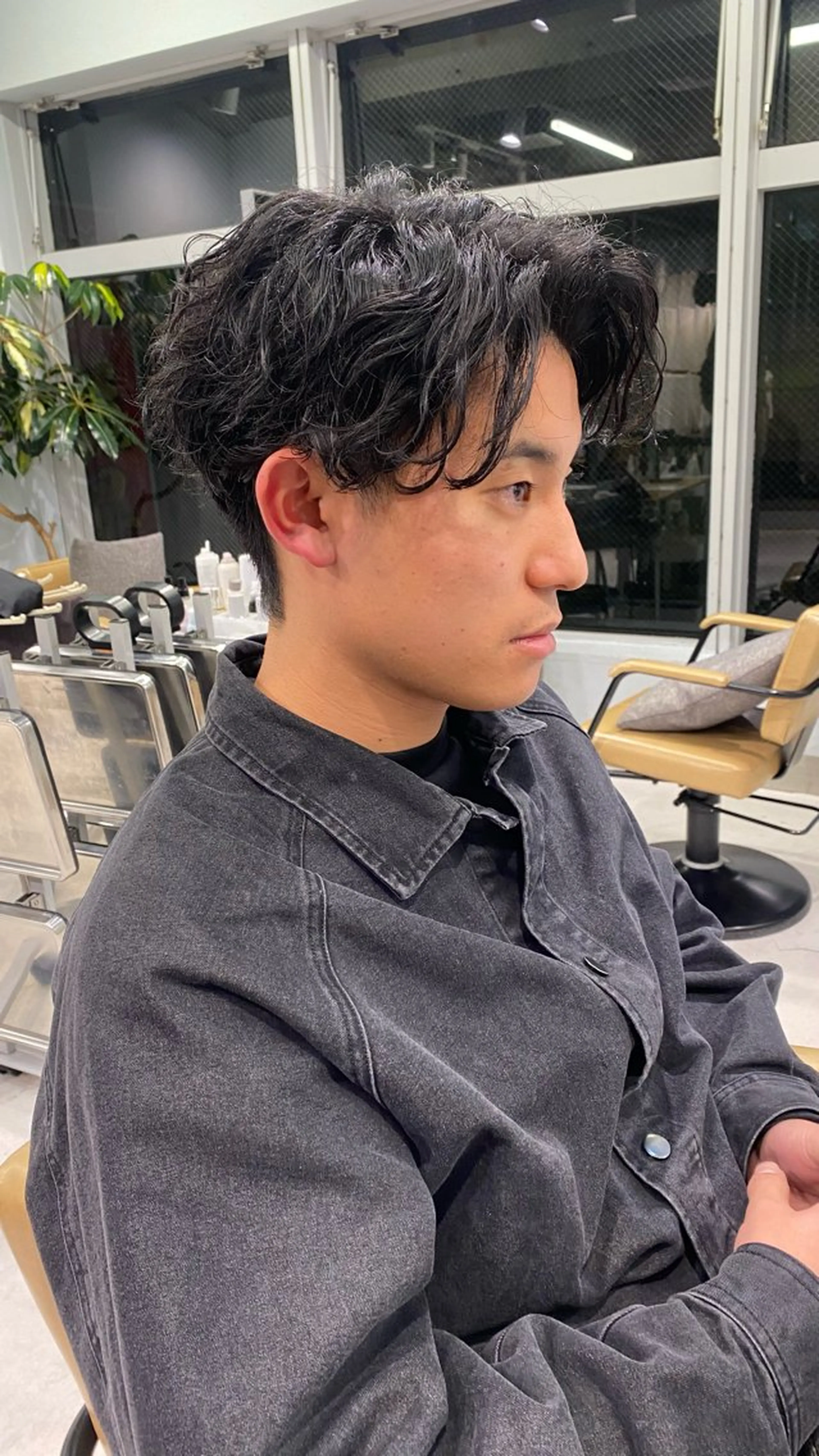 パーマ パーマ 大関 星翔のヘアスタイル