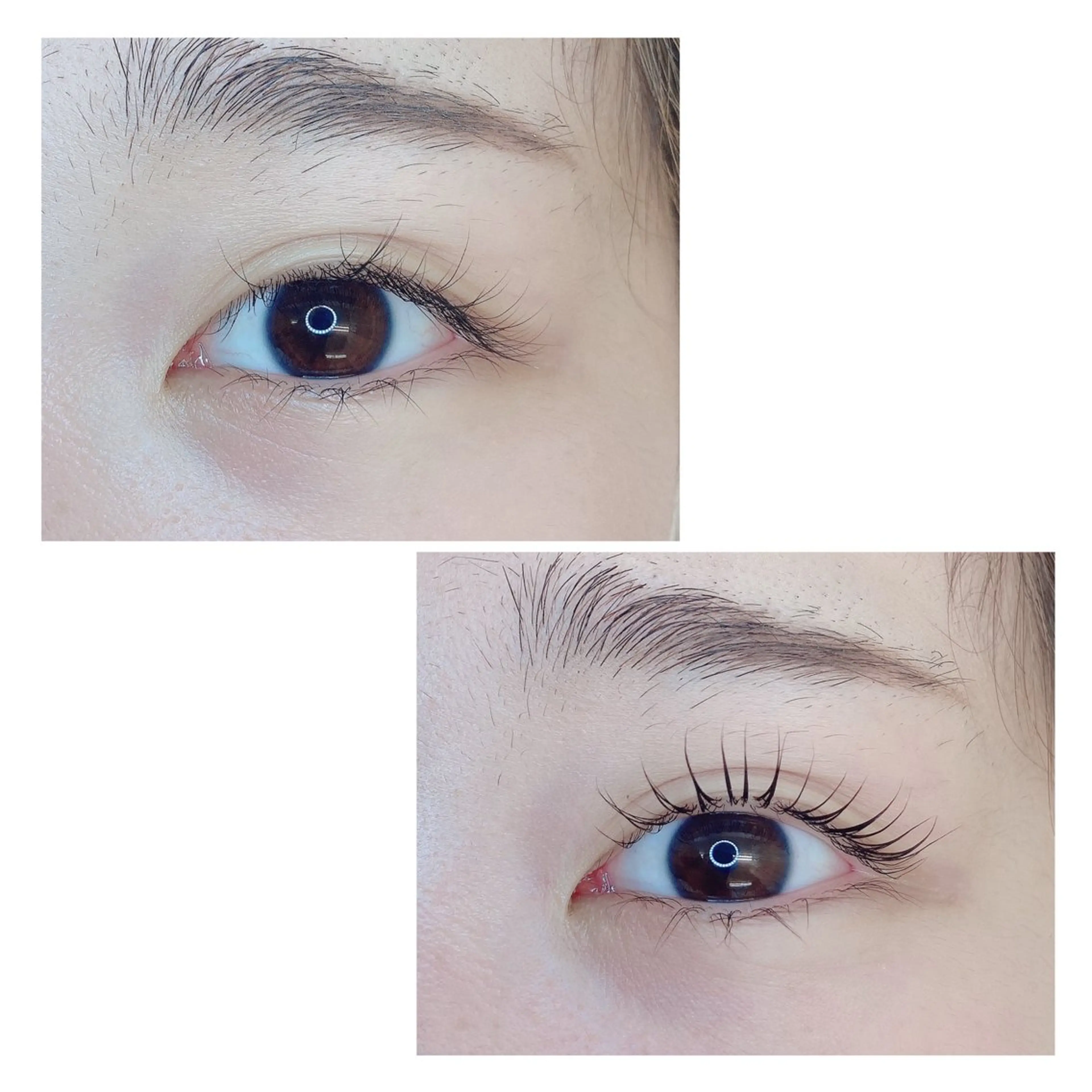 マツエク・マツパ TIARA池袋西口店 店長YASUKA💐のマツエク・マツパデザイン