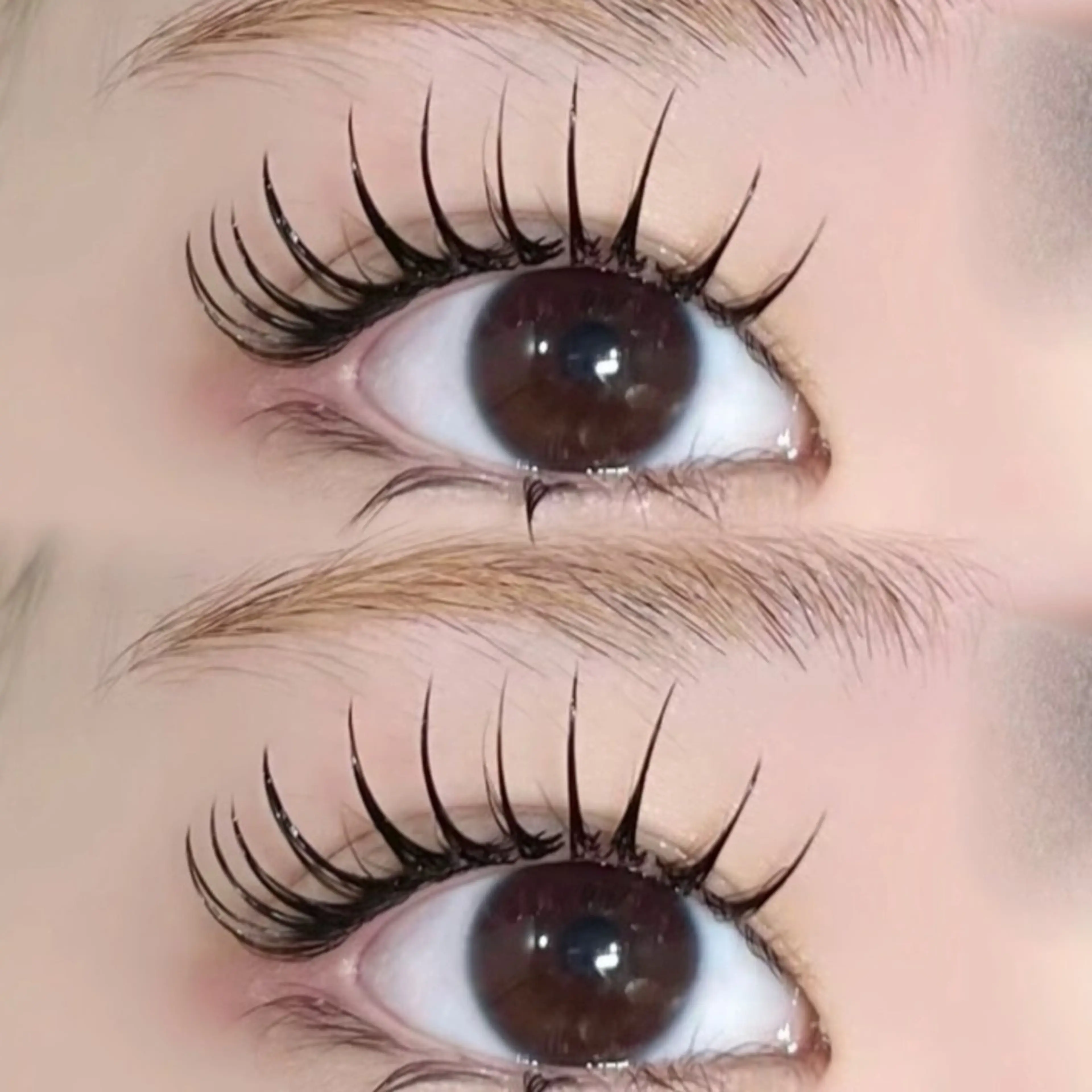 マツエク・マツパ 🔴る び🔴のマツエク・マツパデザイン