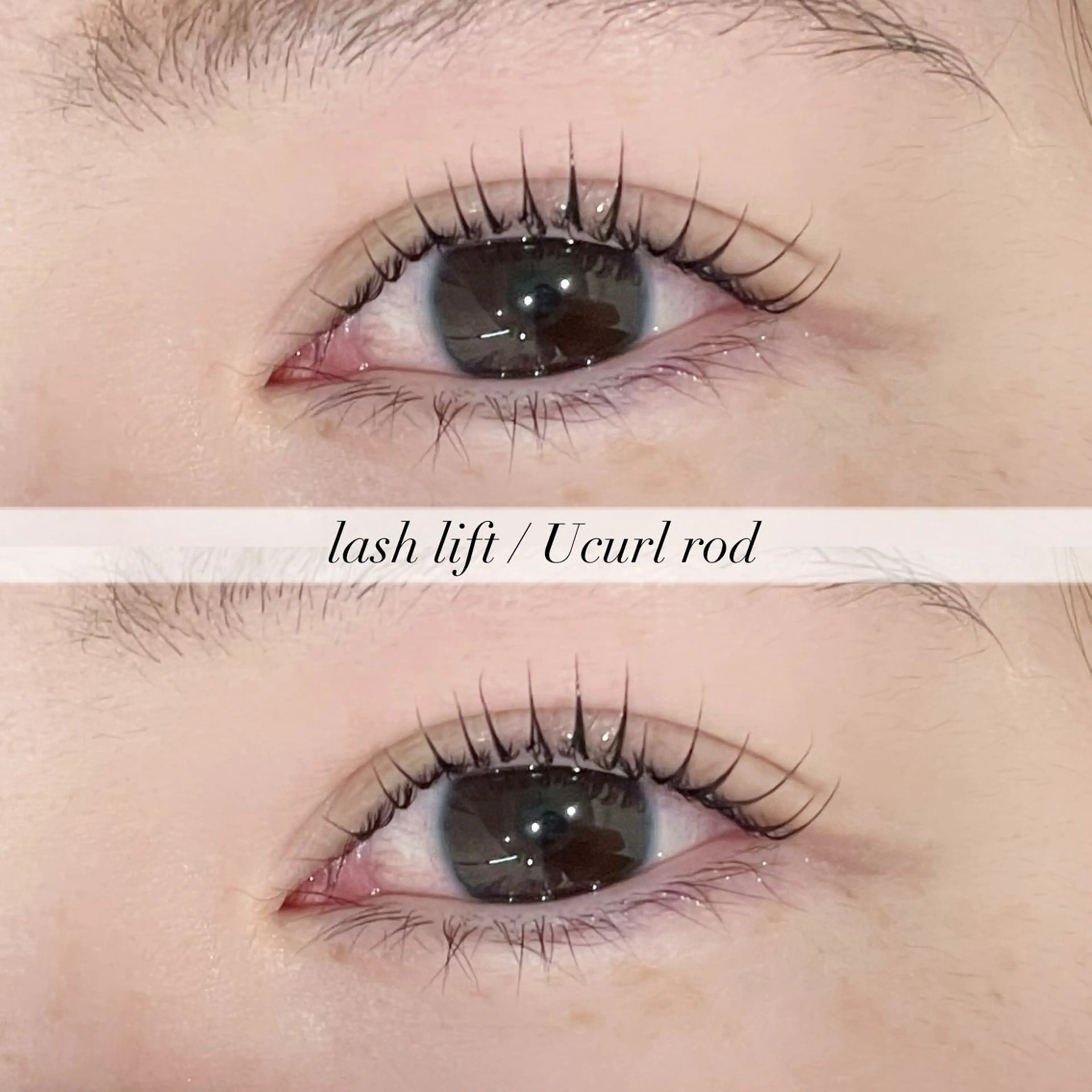 【平日限定❣️】まつげパーマ🎀の写真