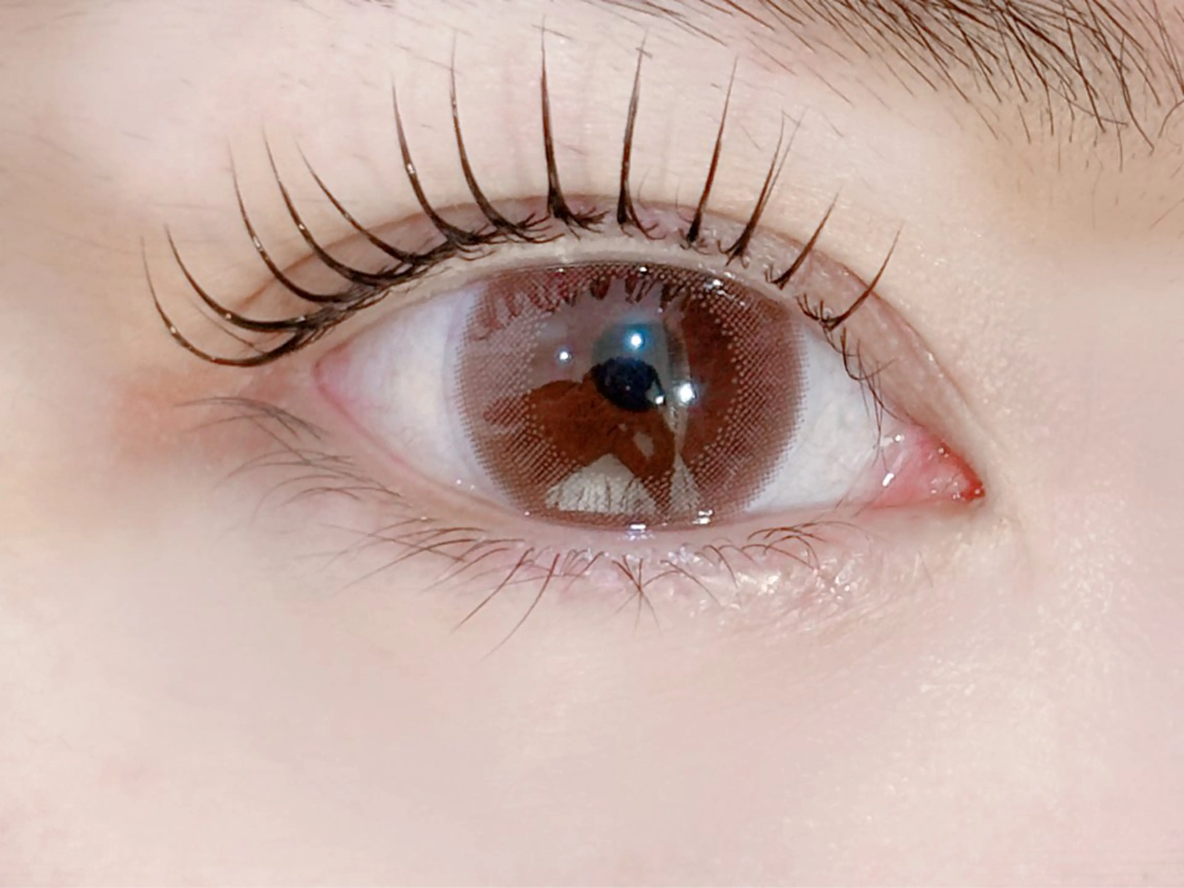 【話題♪マスカラパーマ】パリジェンヌ+まつ毛ティントTR　¥5500の写真