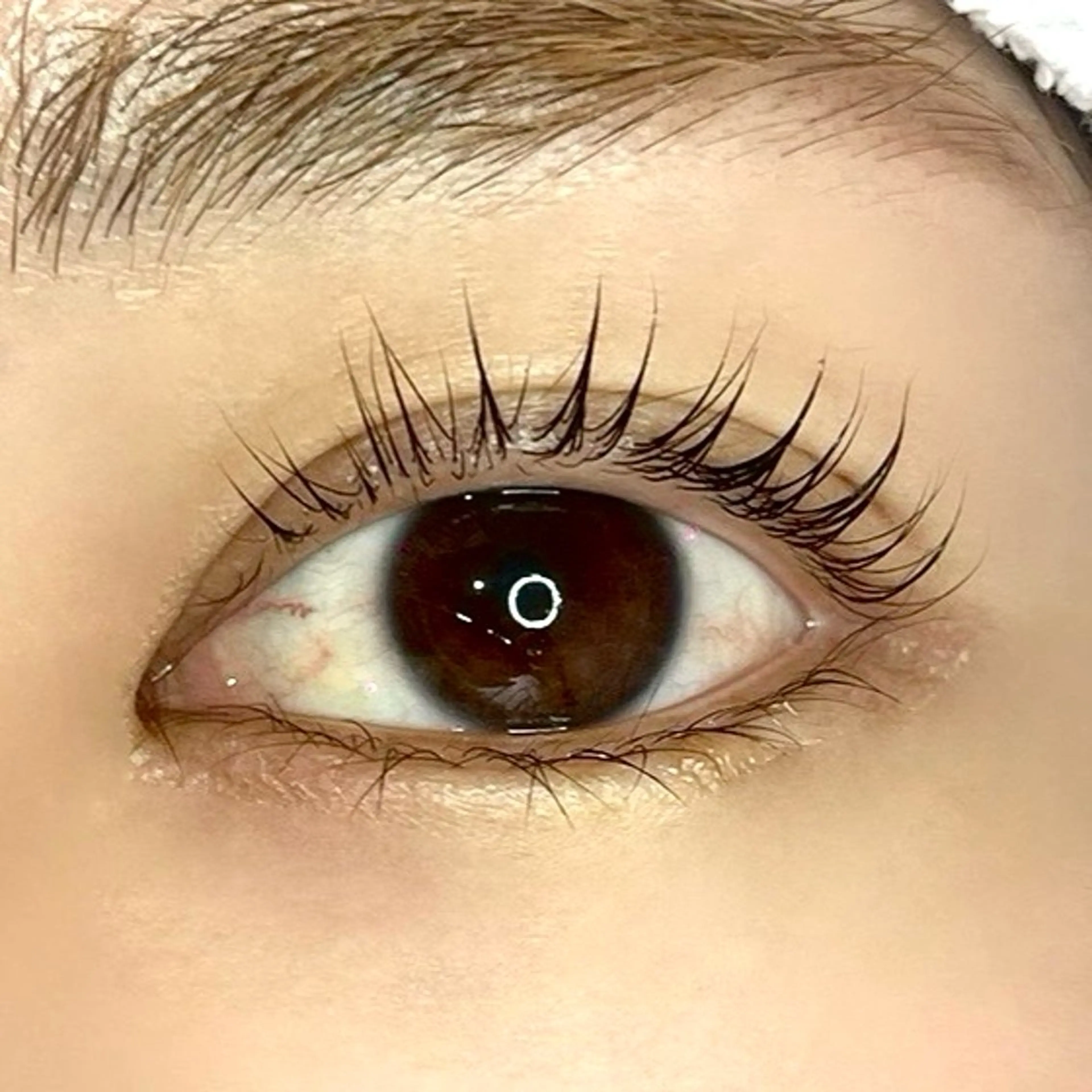 マツエク・マツパ マツパ メゾンドシャルム NISHIKAWAのマツエク・マツパデザイン