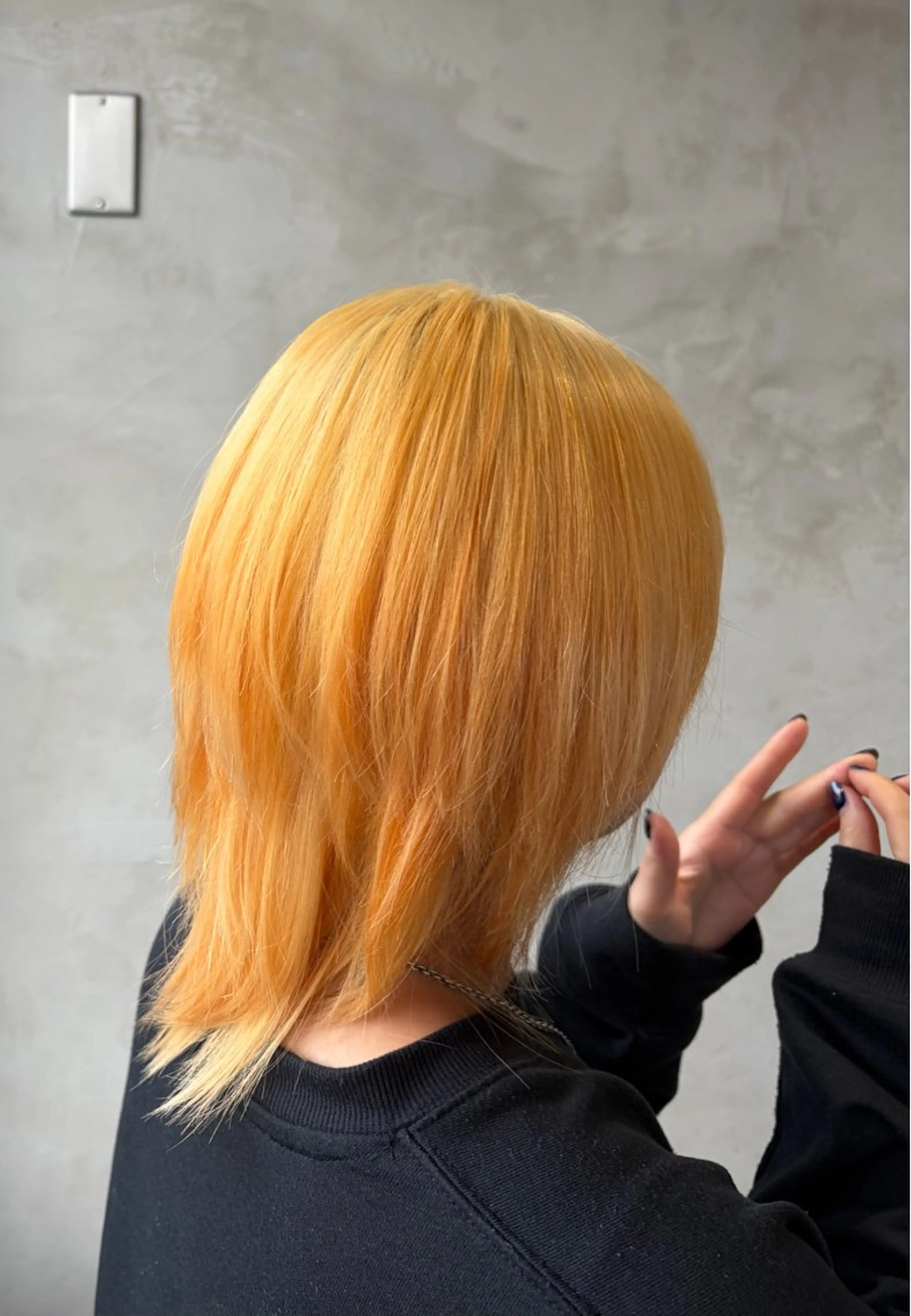 ダブルカラーの写真