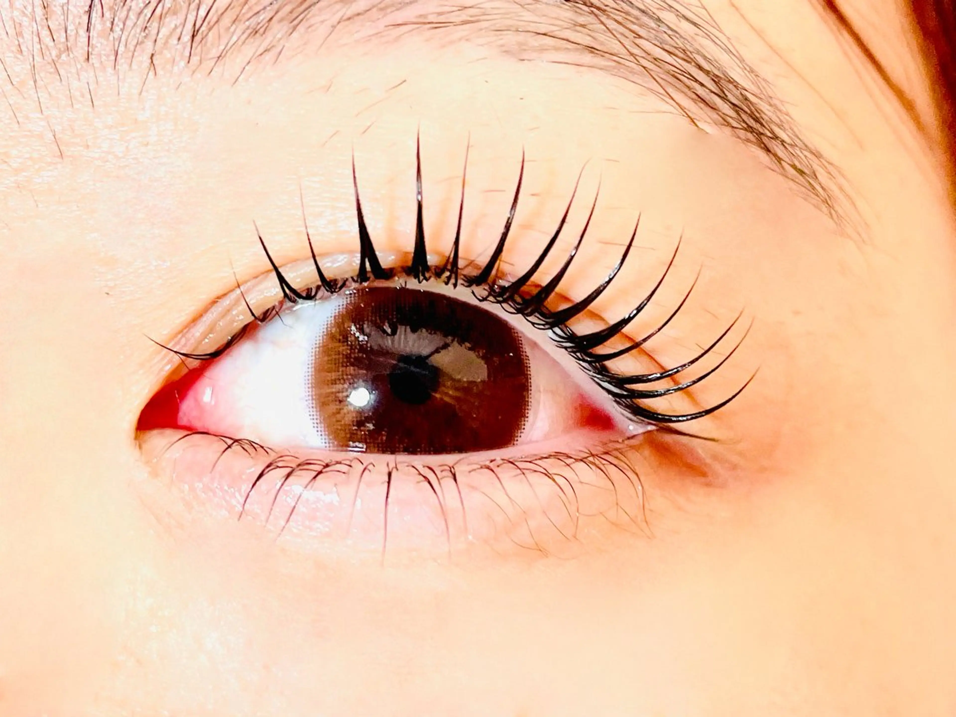 🥀ミニモ限定ラッシュリフト(パリジェンヌ有)＋束感仕上げ(コーティング)の写真