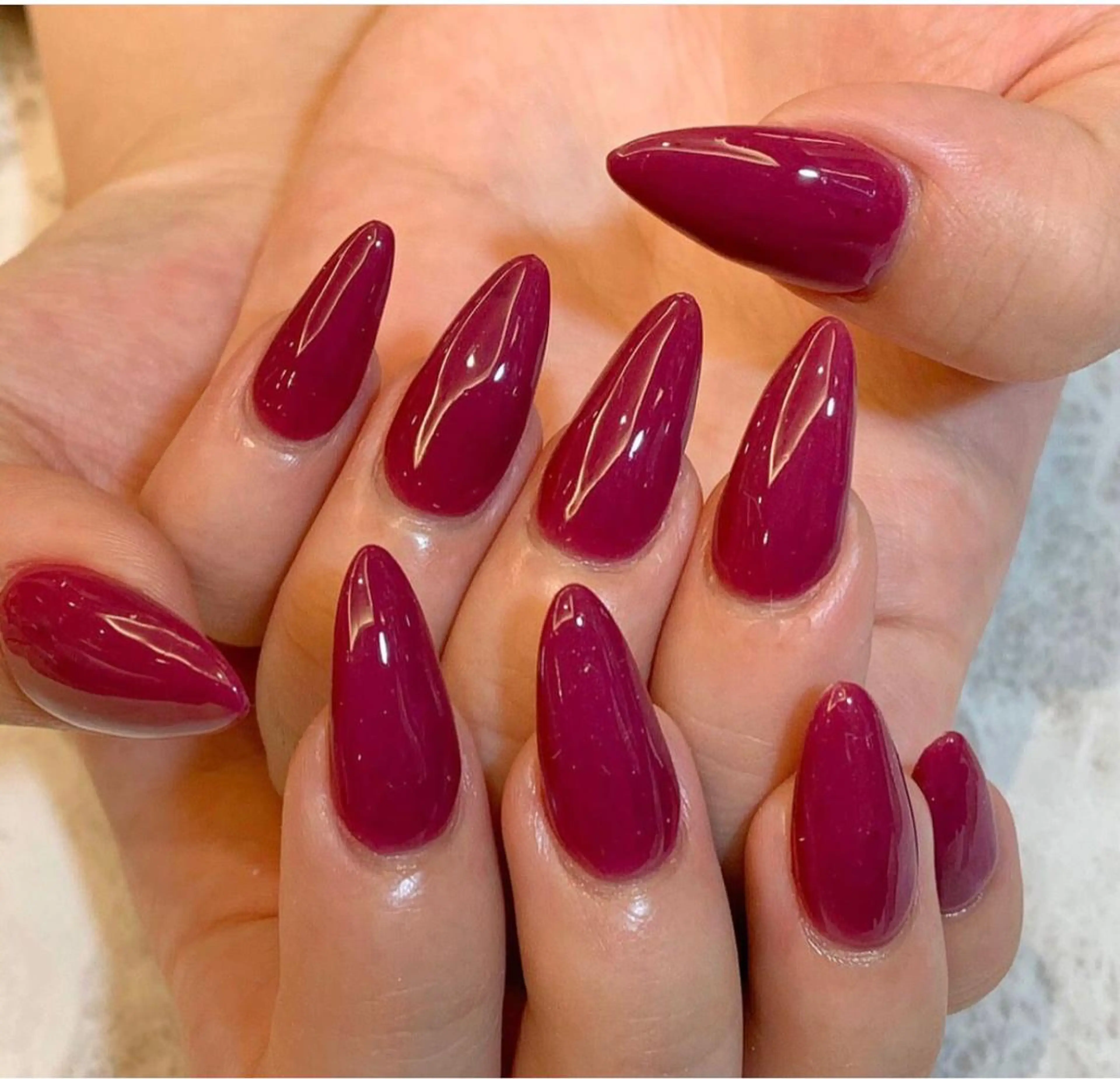 ワンカラーの写真