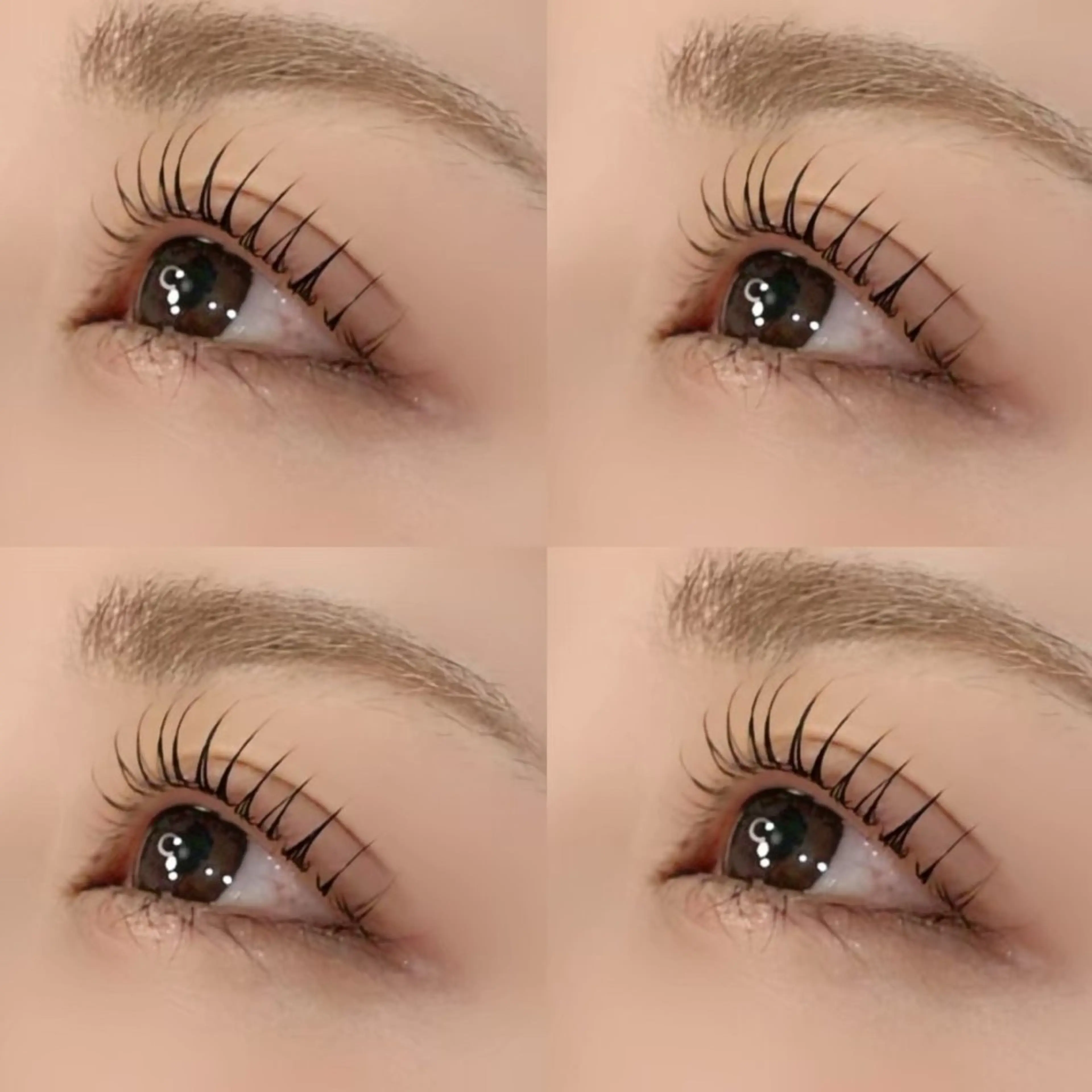 12/15.16限定‼️似合わせラッシュリフト＋アイシャンプー🎀10:00～18:00ご希望のお時間お伺いしますの写真