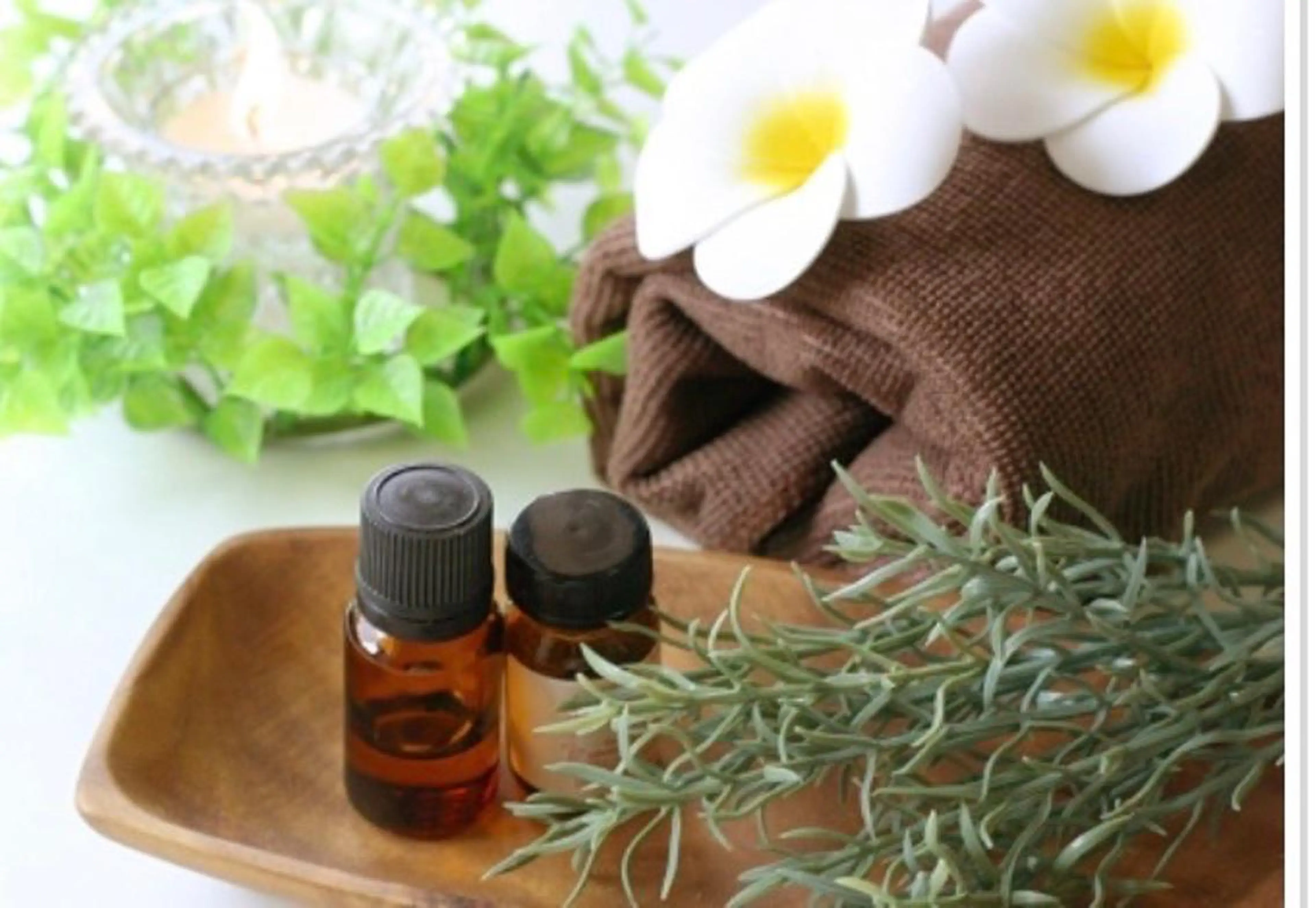 Rafre【ラフレ】 タカヤマのマツエク・マツパデザイン