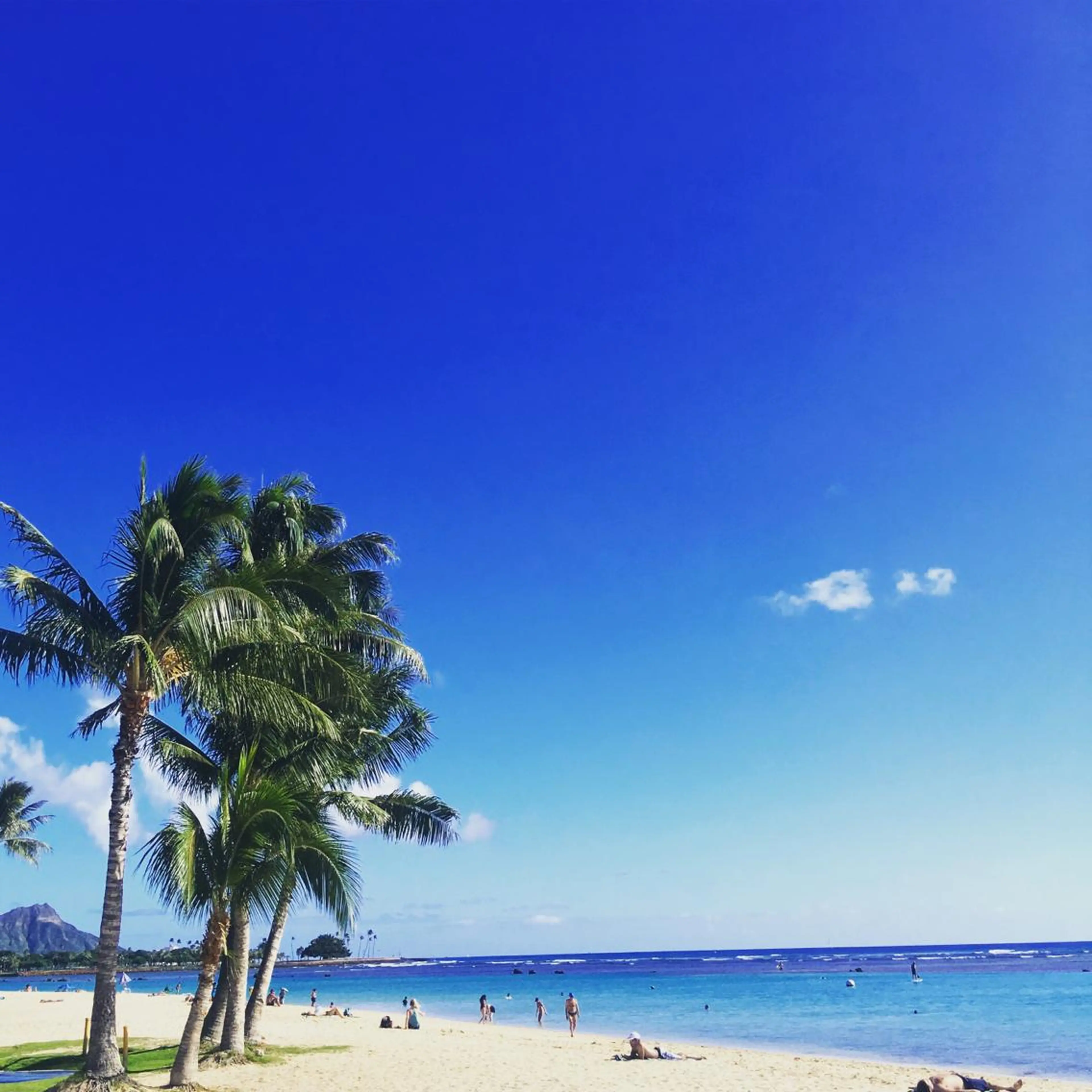 小濱 秀人のヘアスタイル