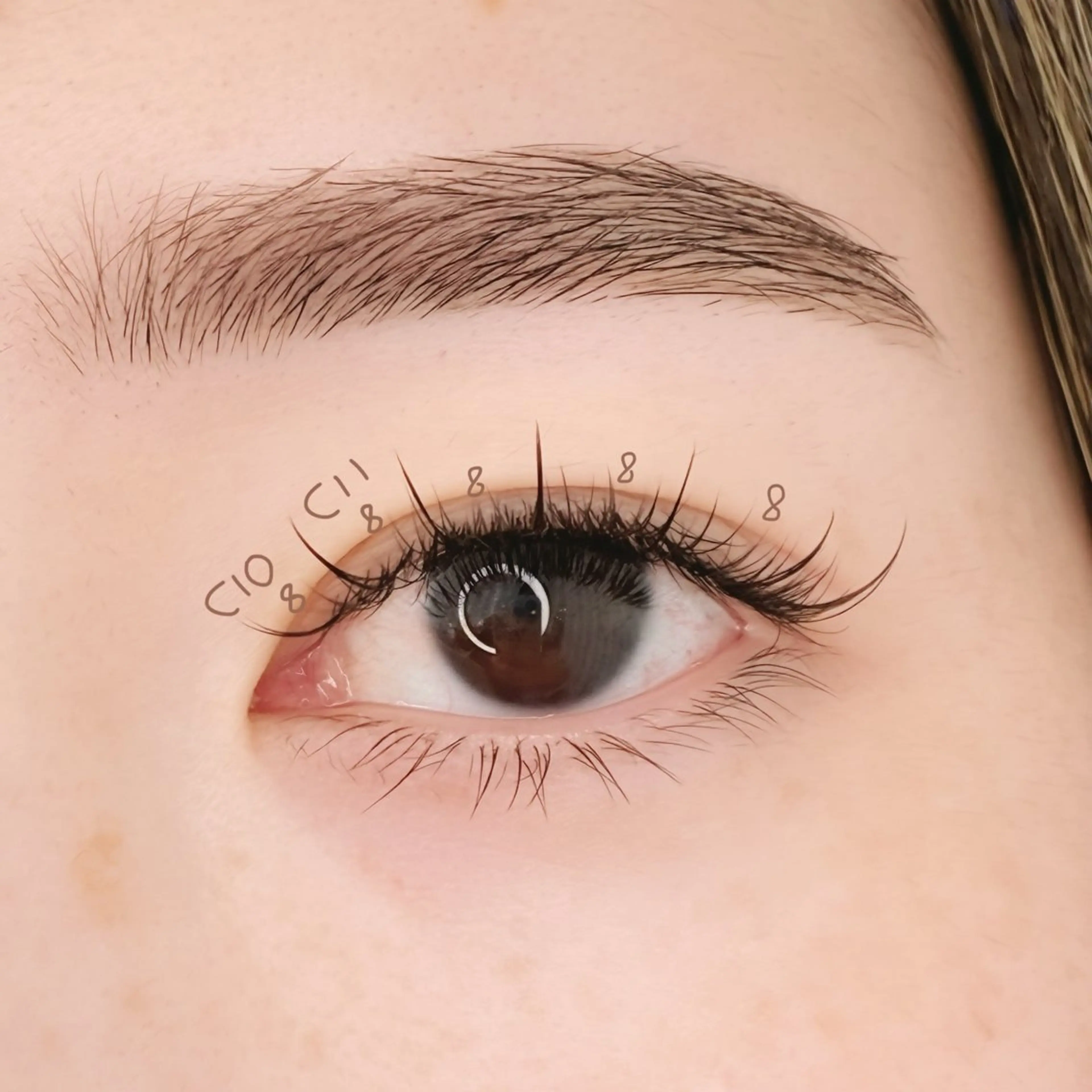 マツエク・マツパ ナチュラル ワンホンマツエク マツエク PROGRESS 龍ヶ崎 小泉🦋のマツエク・マツパデザイン