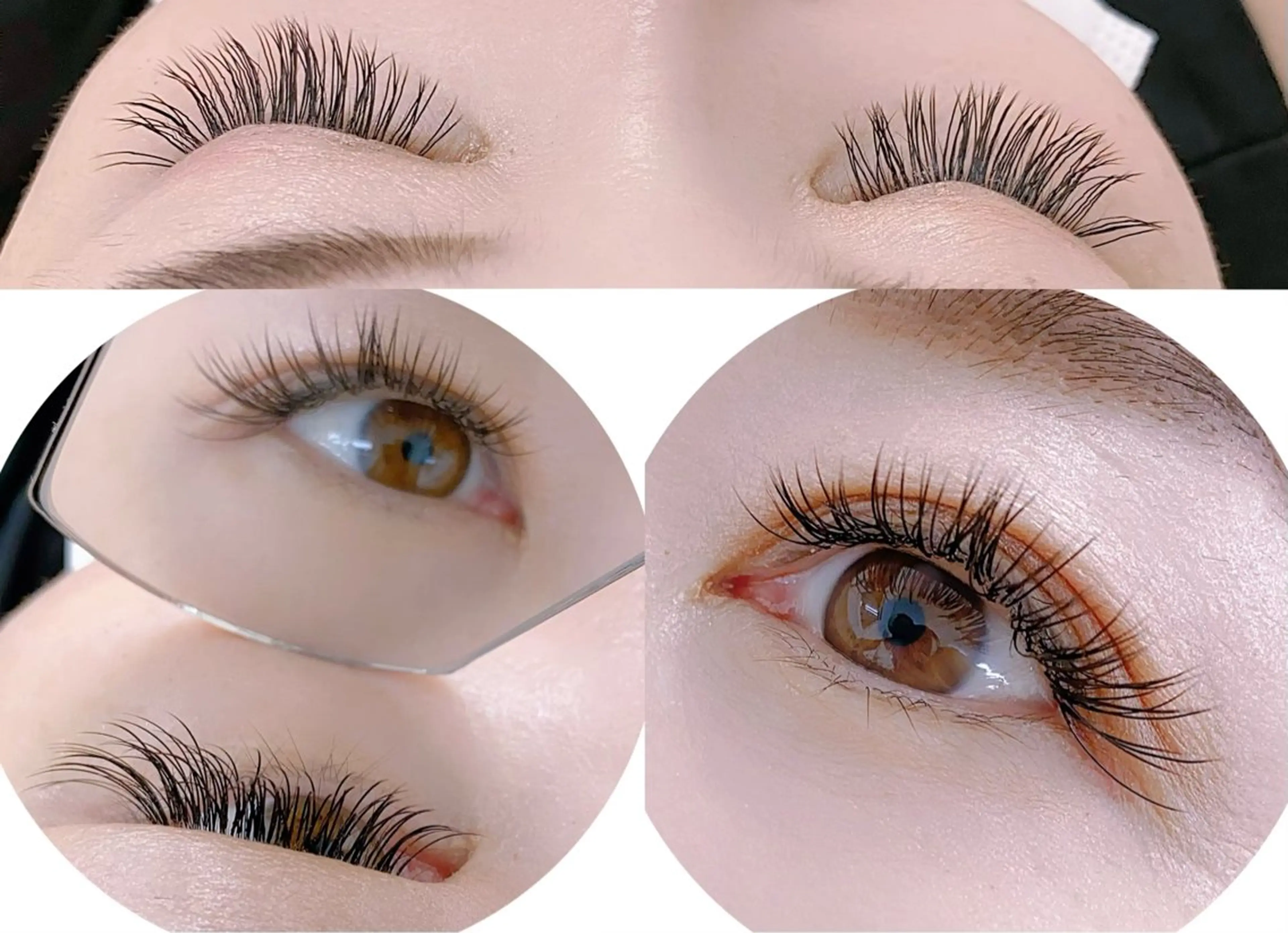 マツエク・マツパ 韓国風マツエク ワンホンマツエク 2 5のマツエク・マツパデザイン