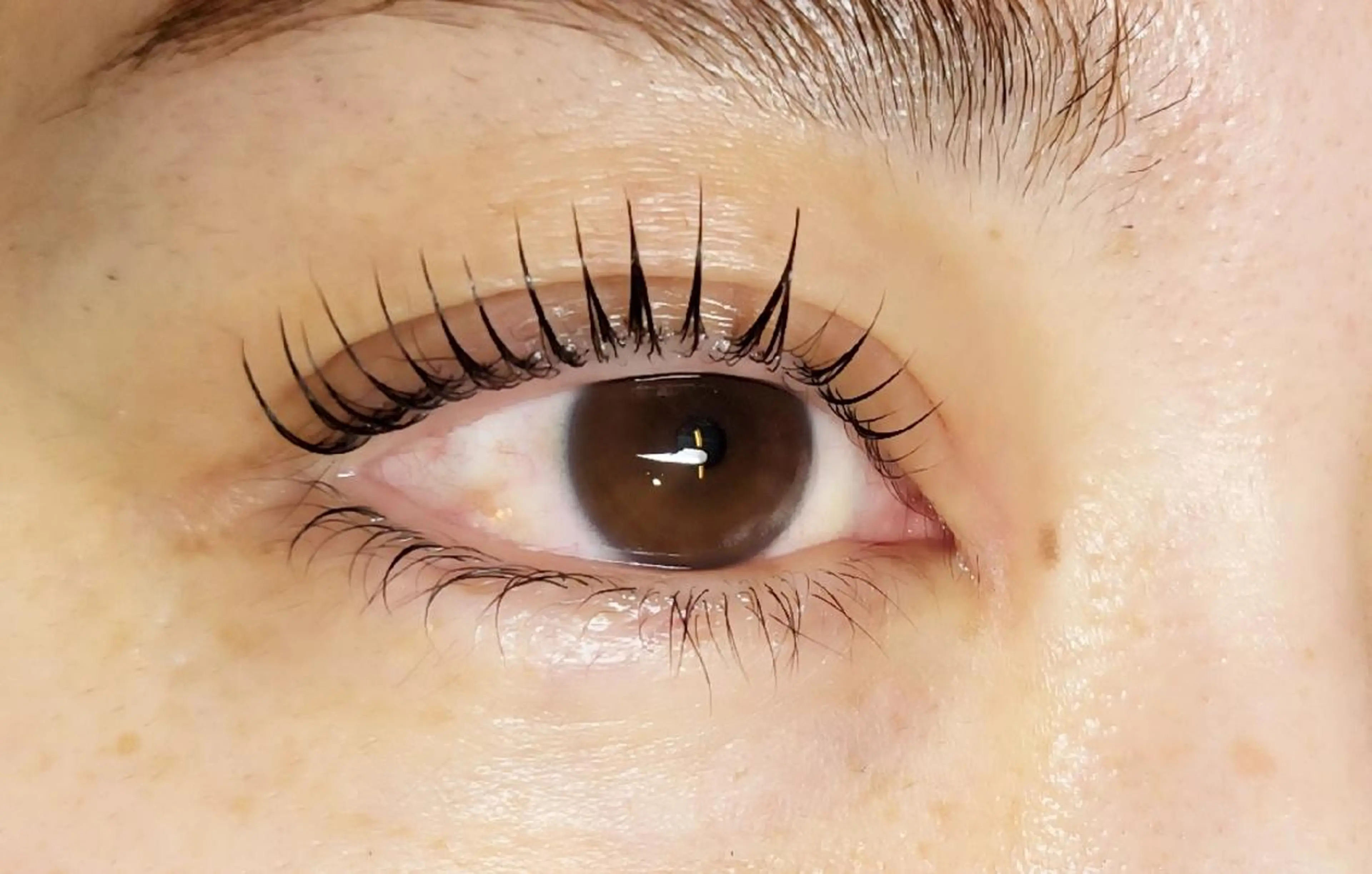 パリジェンヌラッシュリフト 上の写真