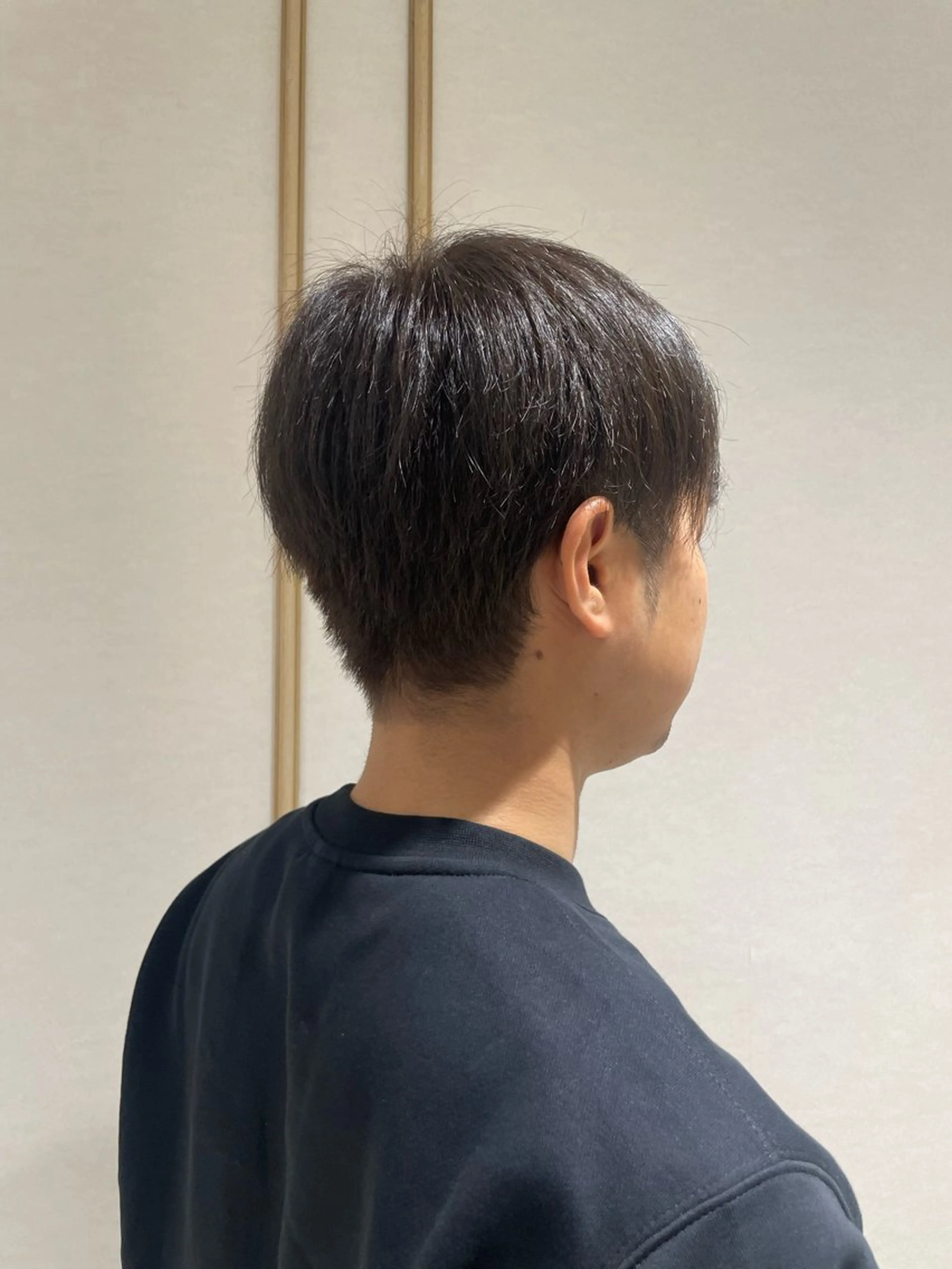 ショート カラー 日高 拓磨のヘアスタイル