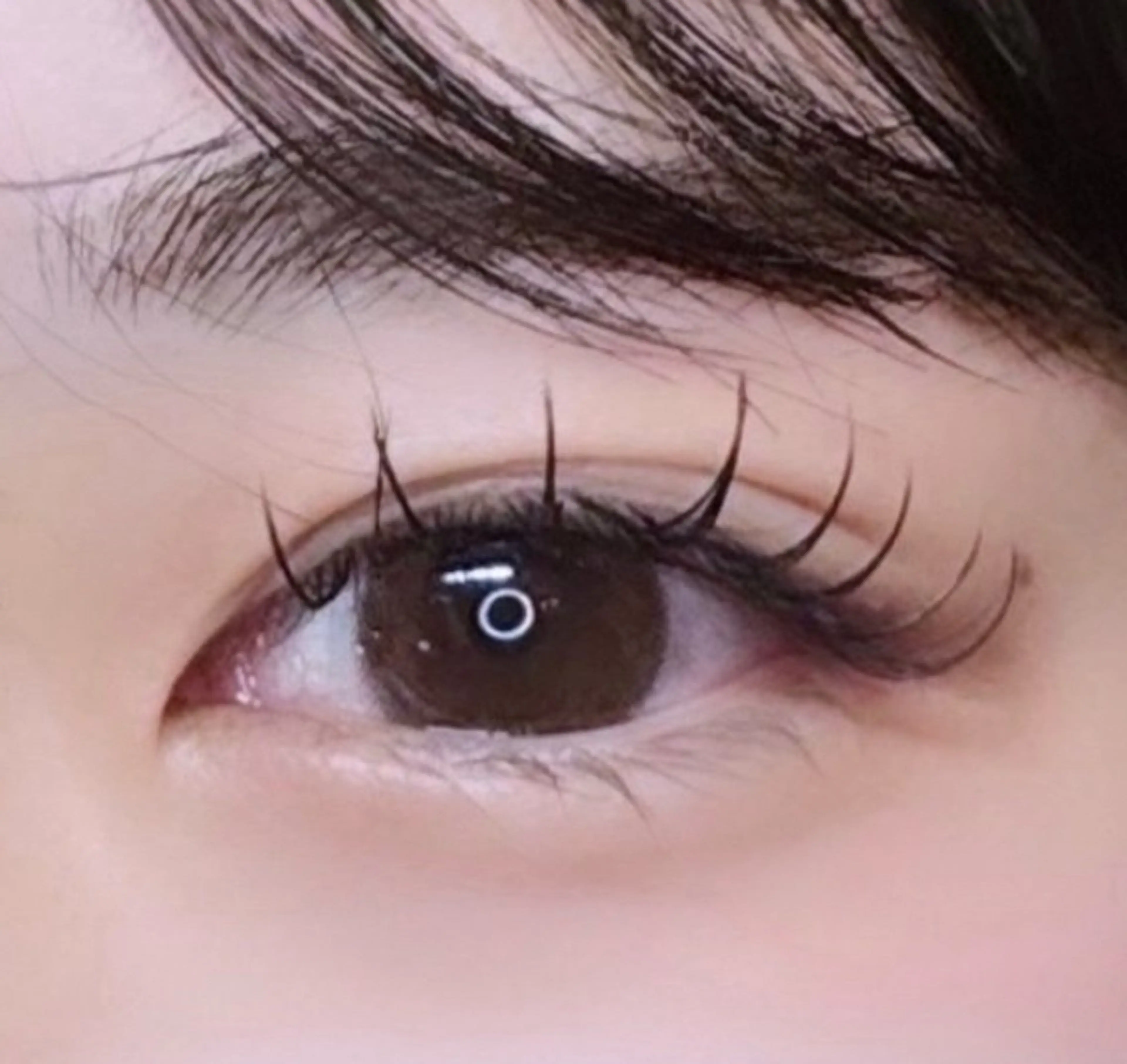 マツエク・マツパ OLIVIA EBISU上杉🎵のマツエク・マツパデザイン