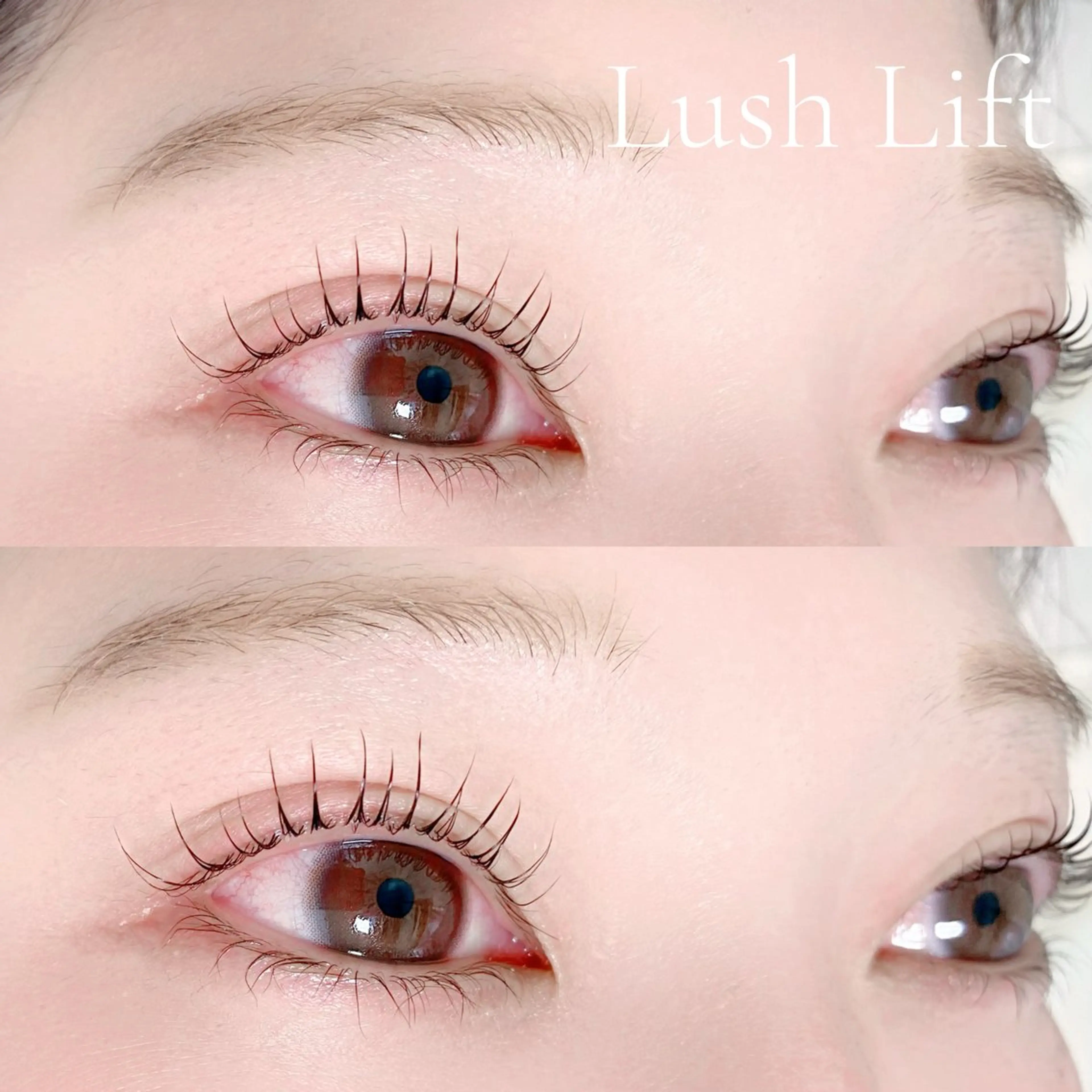 1日2名様限定まつげパーマ👀✨️の写真