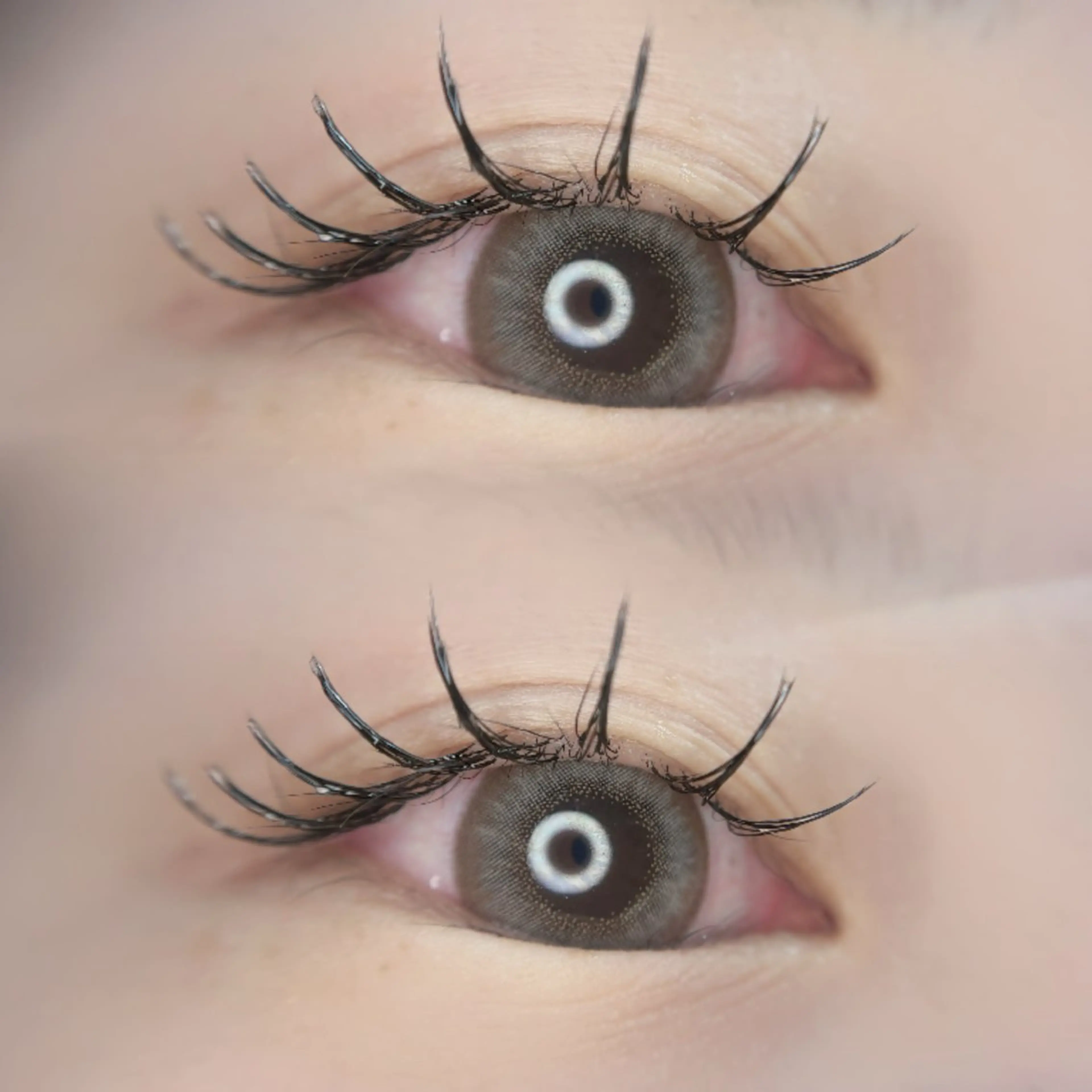 マツエク・マツパ アップワードラッシュ マツエク 🦋MaaZlash 南流山FUKA🤍のマツエク・マツパデザイン