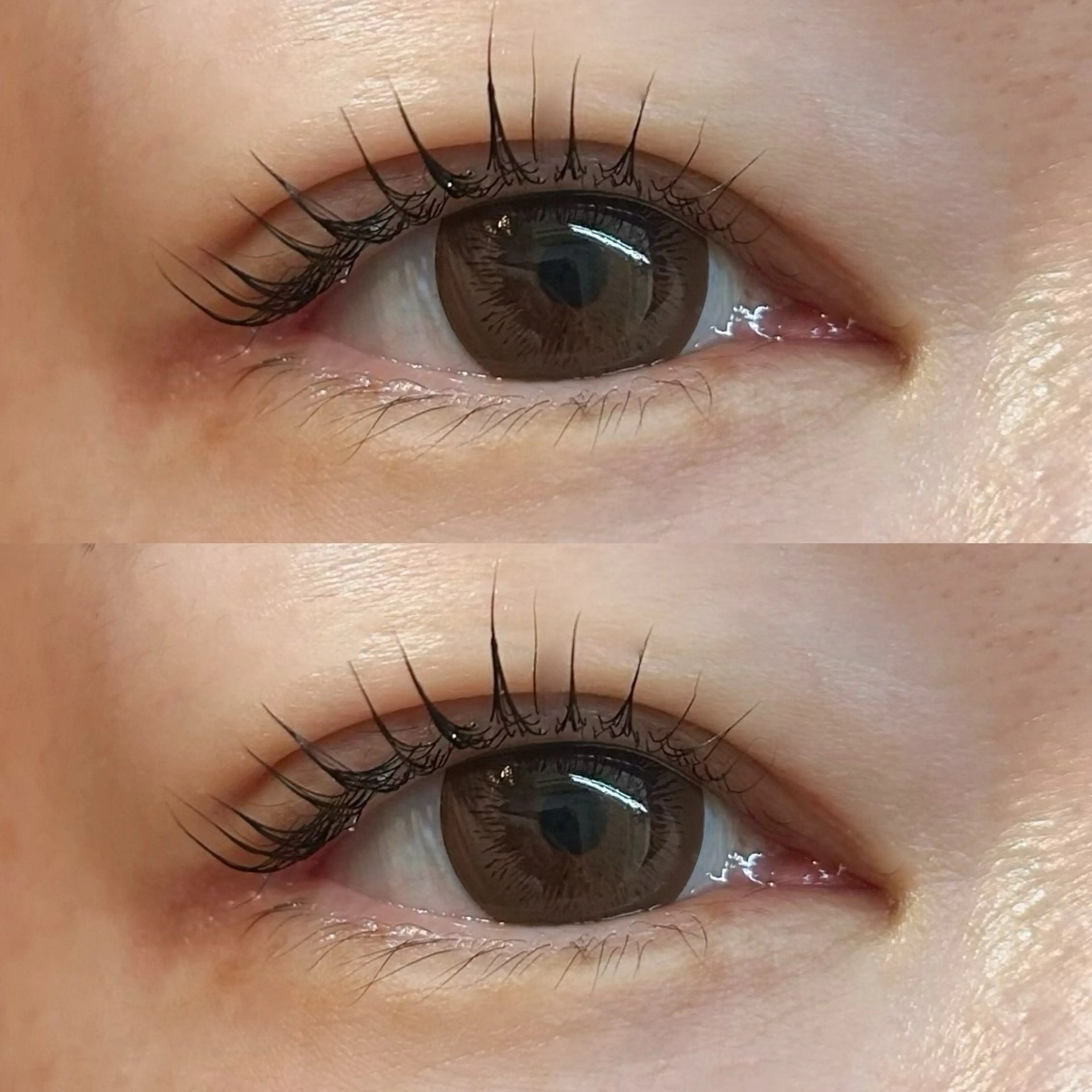 マツエク・マツパ マツパ Rise 🎀のマツエク・マツパデザイン